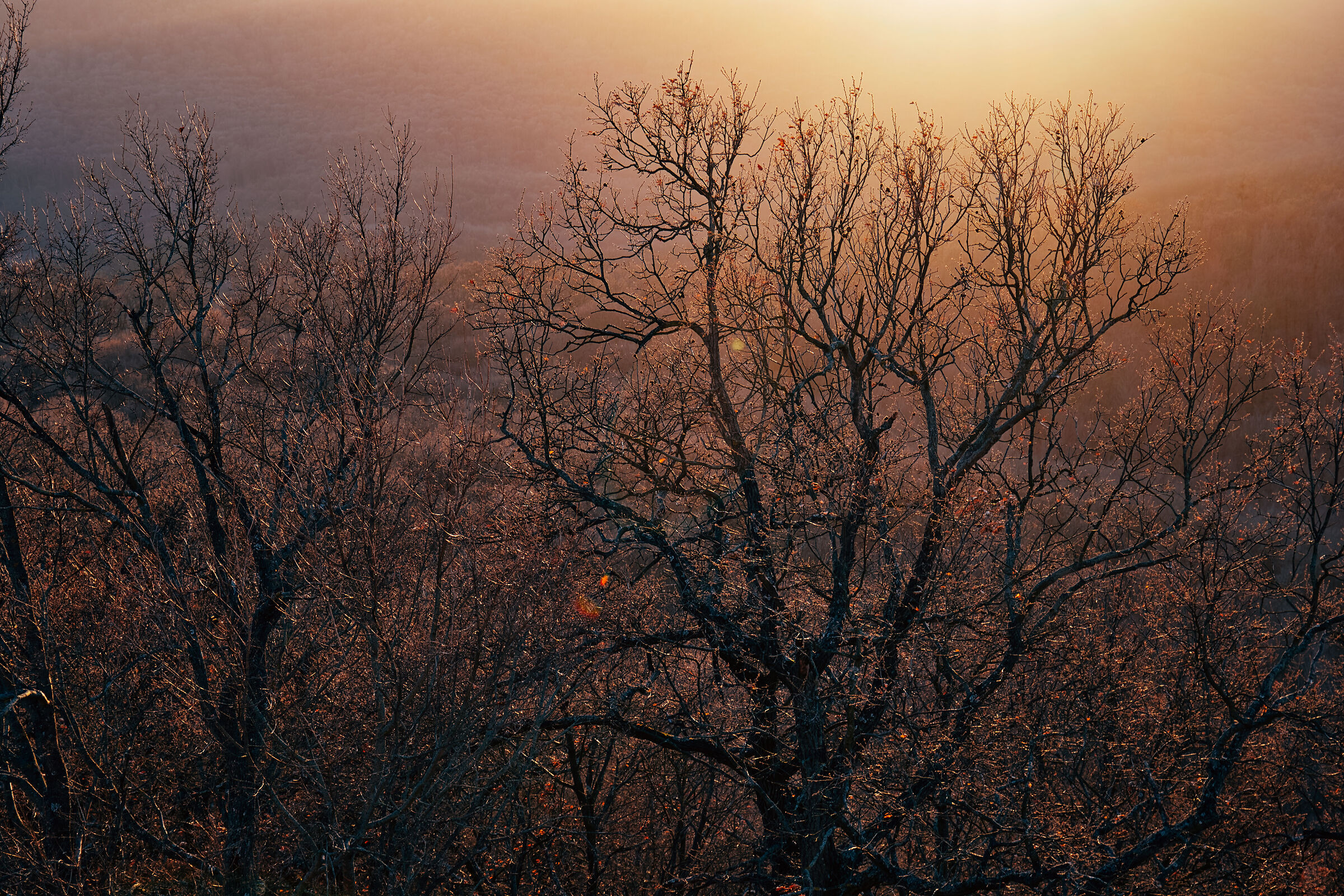 Sunset over Dregelyvar castle, Hungary