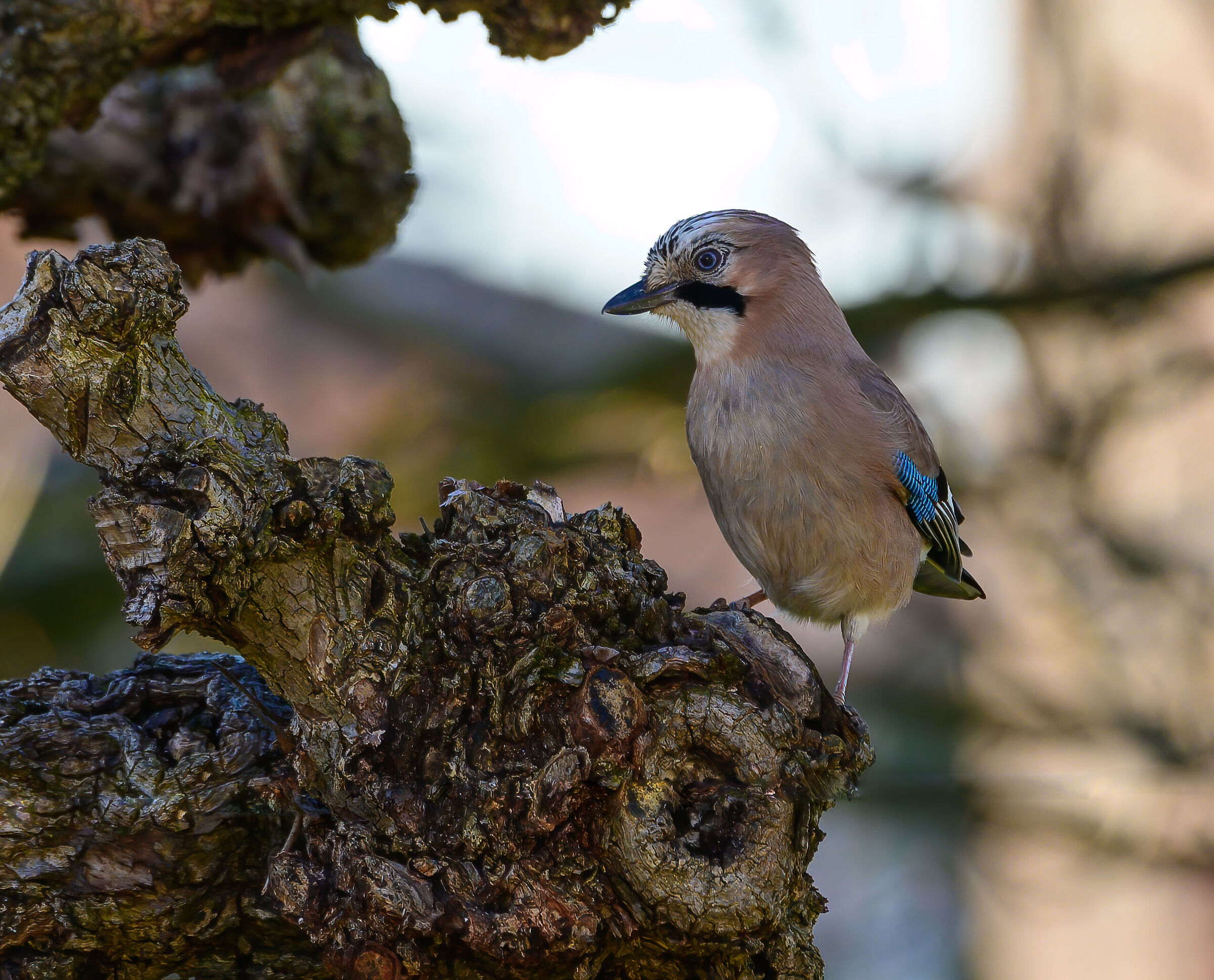 Every now and then I happen to "shoot"