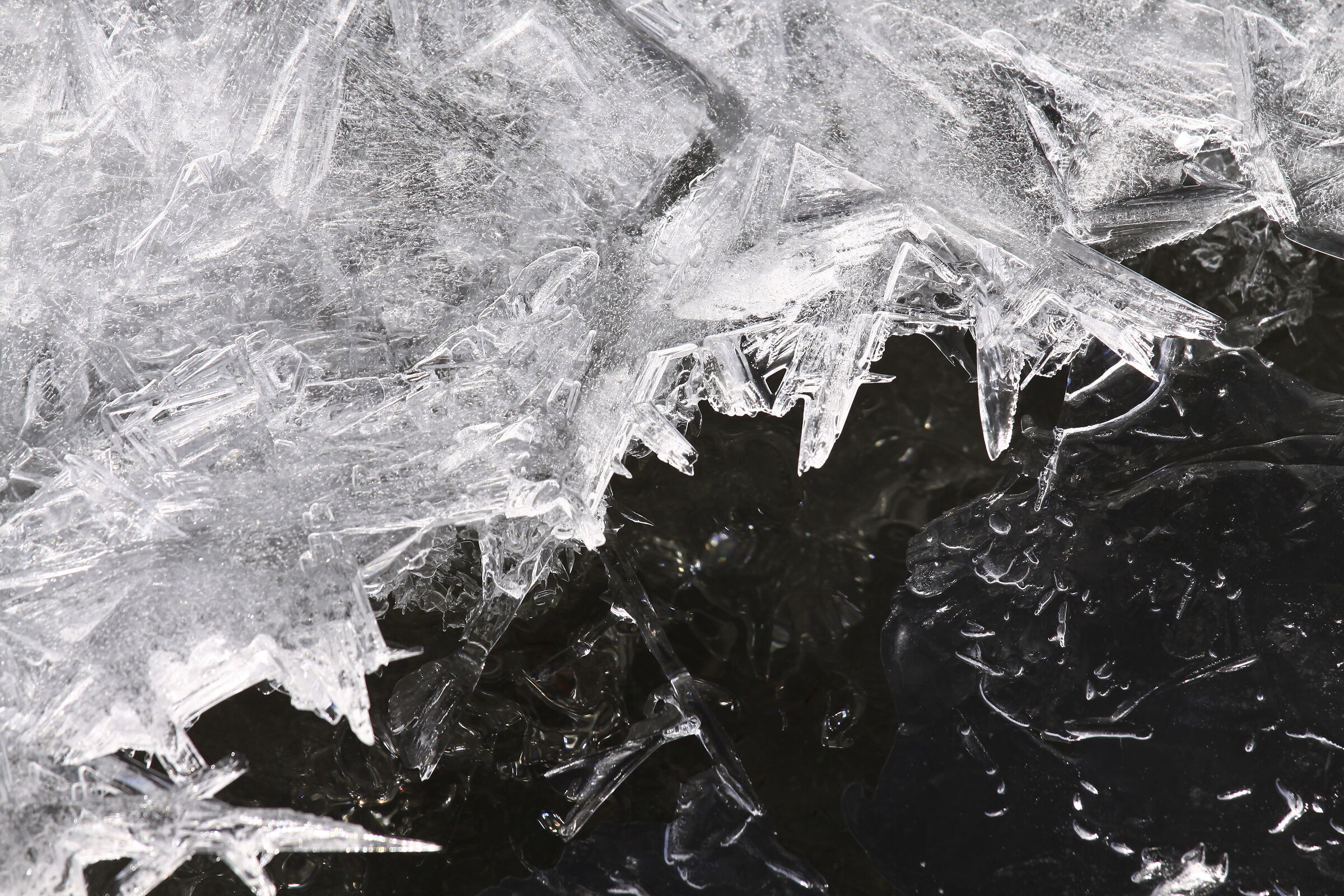 Sculture di ghiaccio