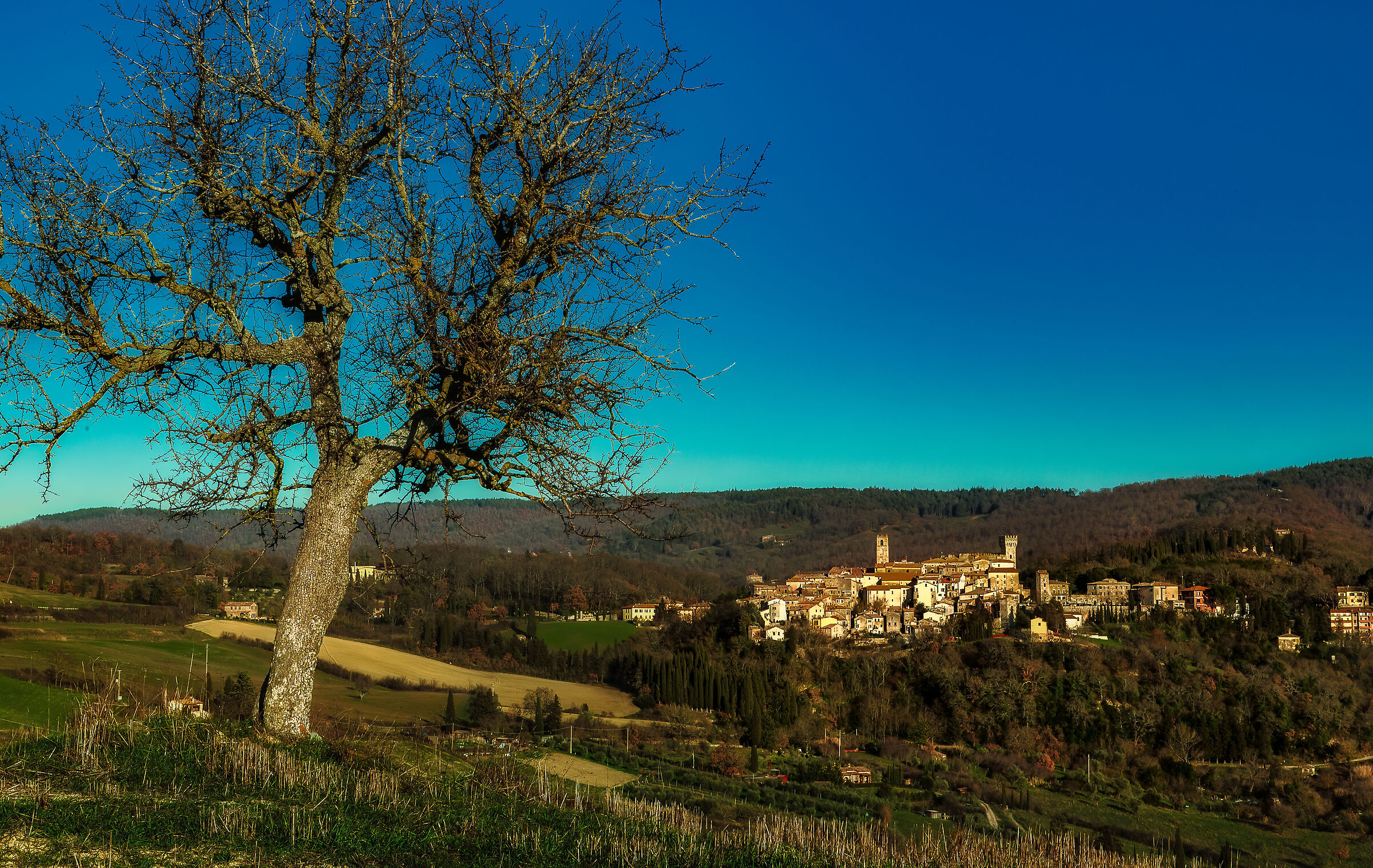 vista di san casciano bagni (si)
