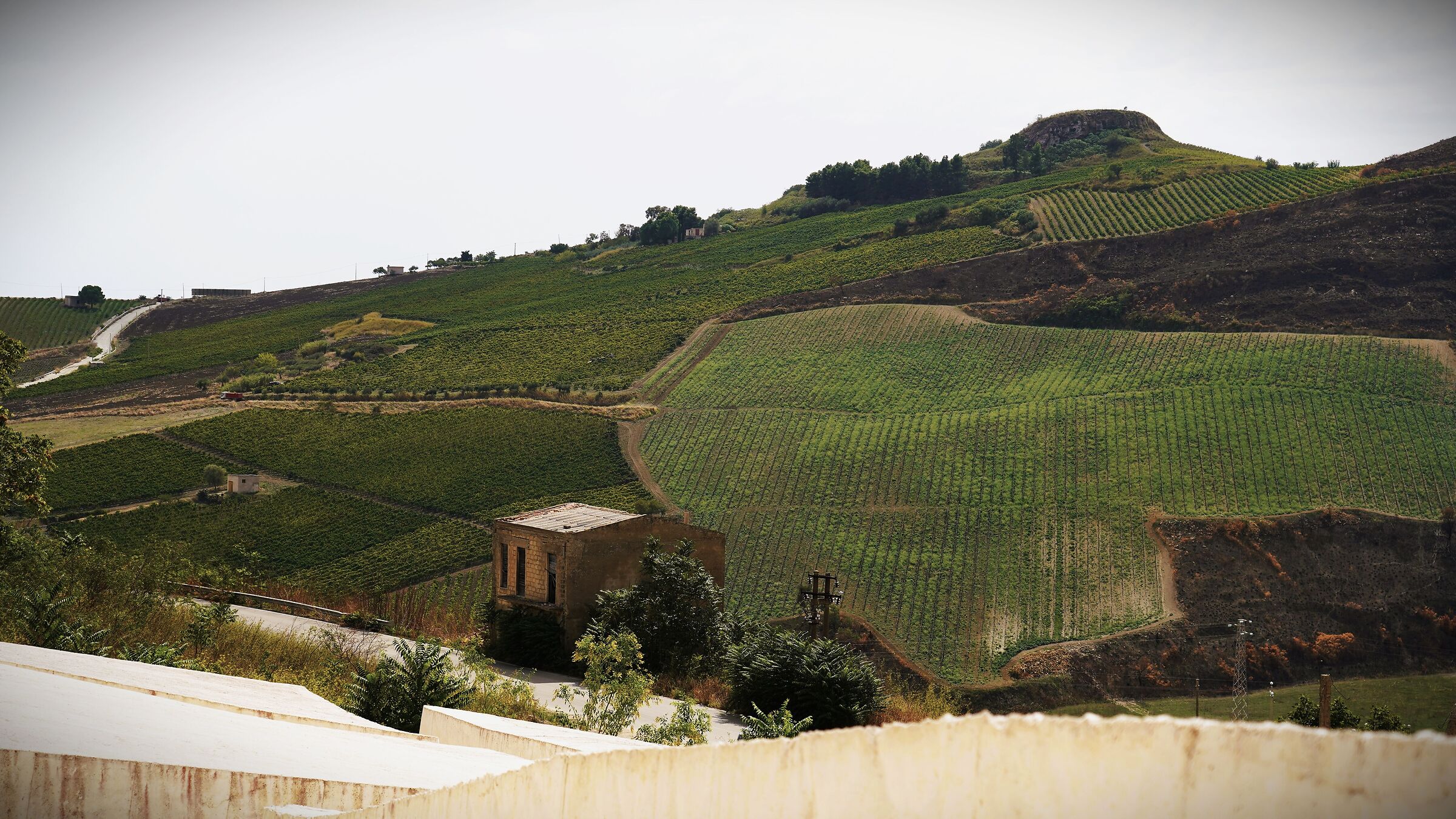 Paesaggio dal cretto