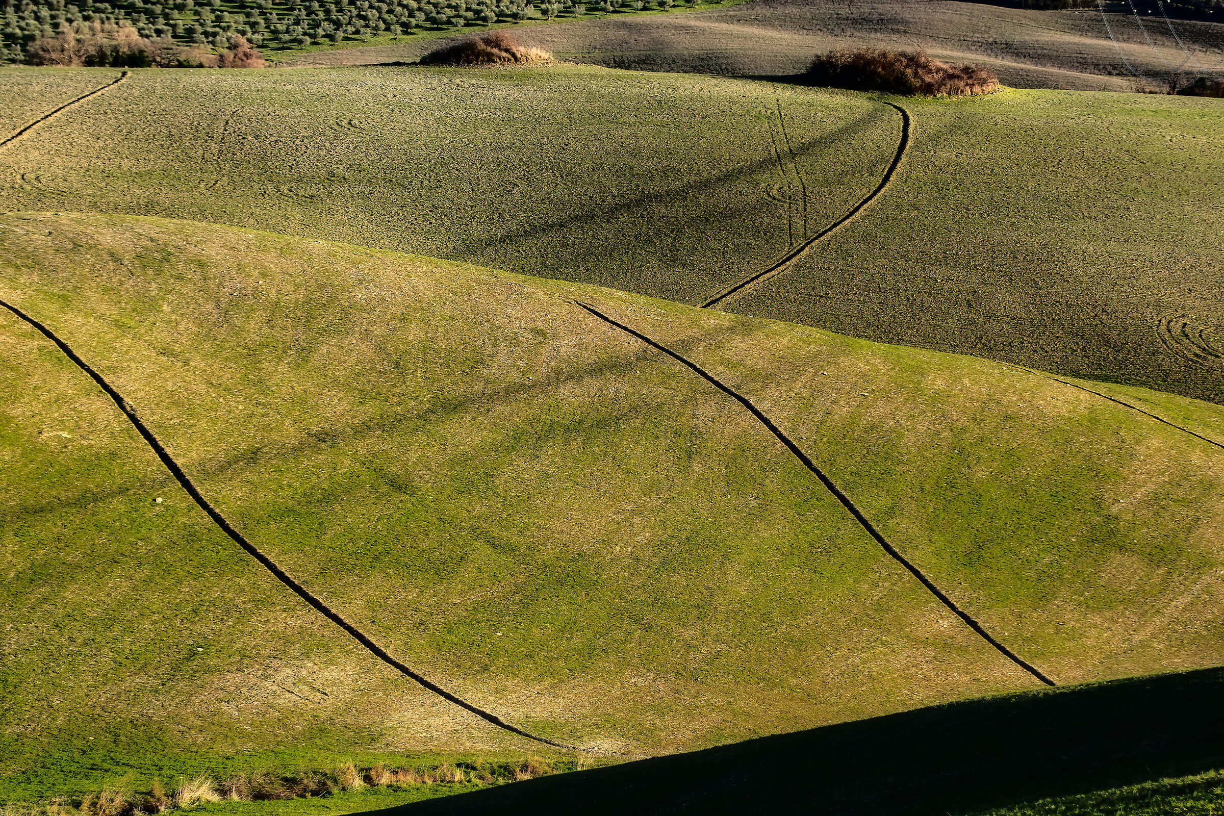 colline nei pressi di san casciano(si)