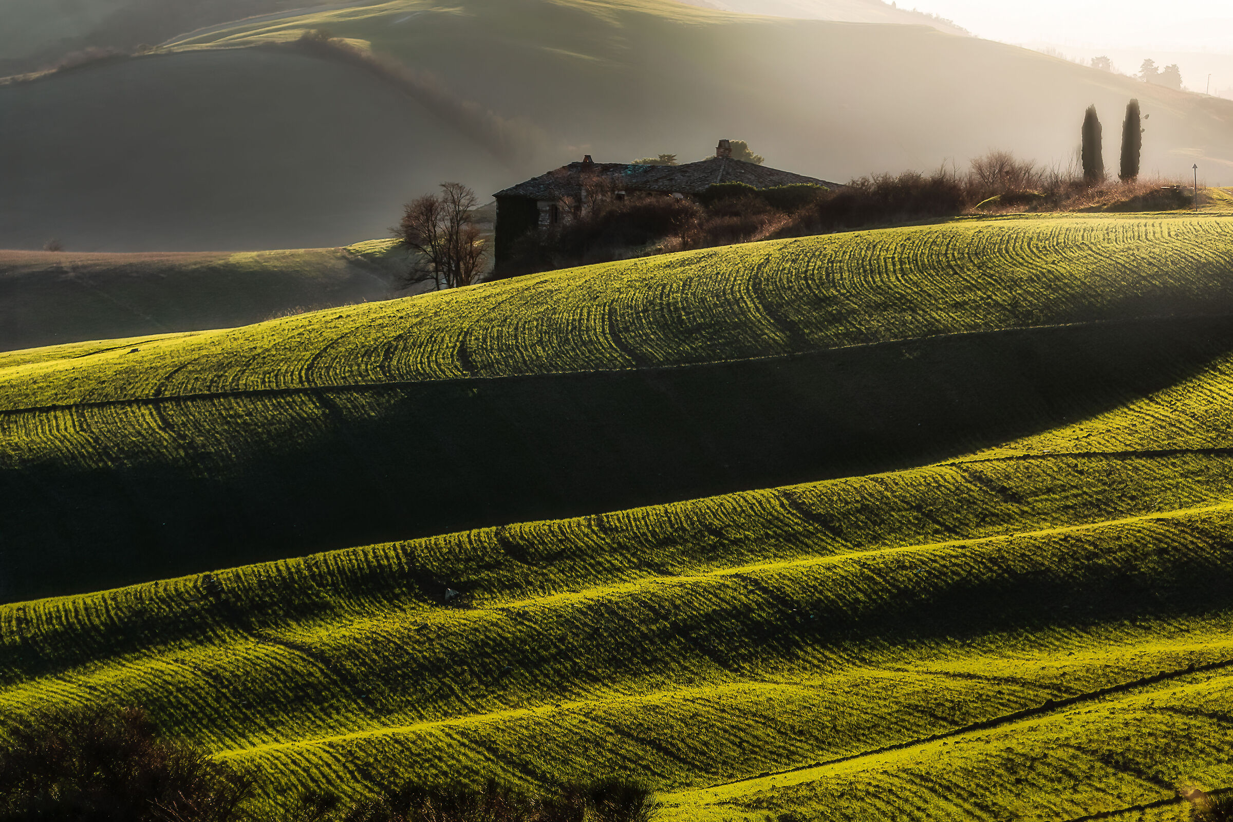 colline nei pressi di san casciano(si)2