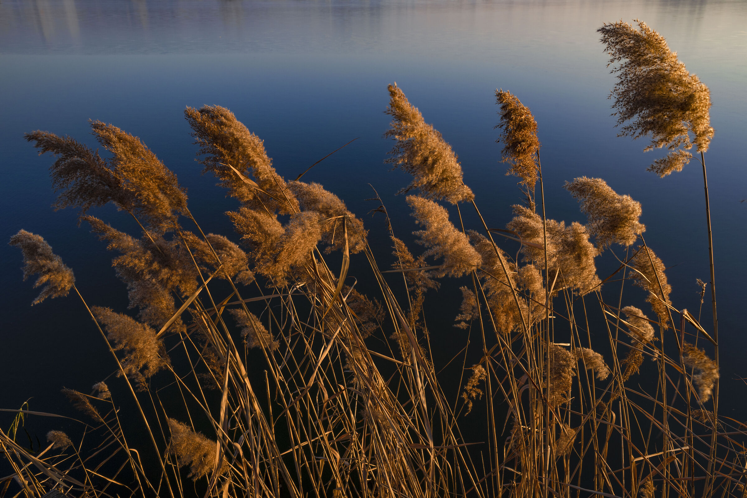 Peat bogs of Iseo 2022