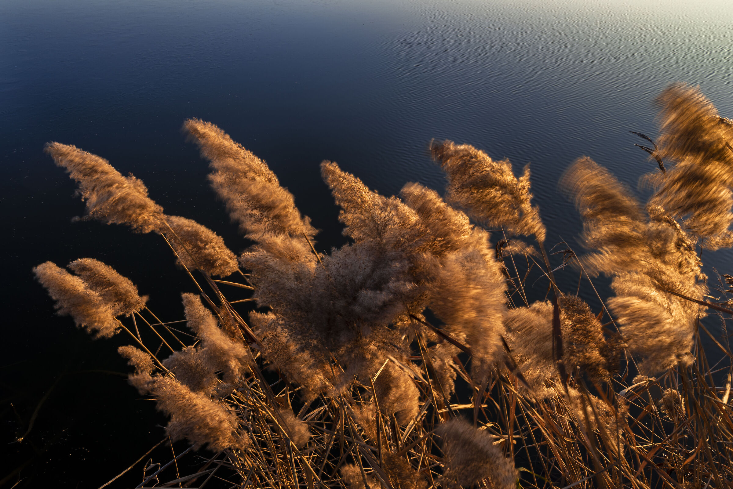 Peat bogs of Iseo 2022_2