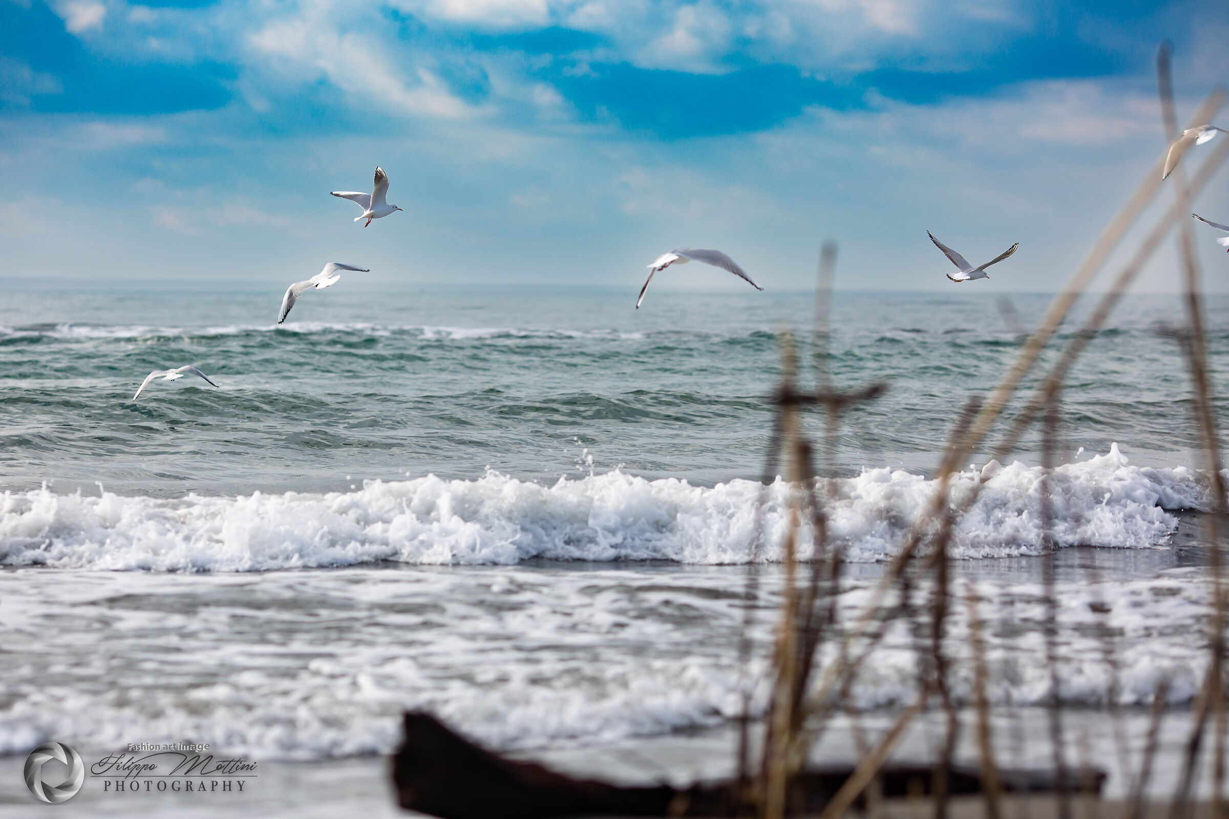 The Winter Sea