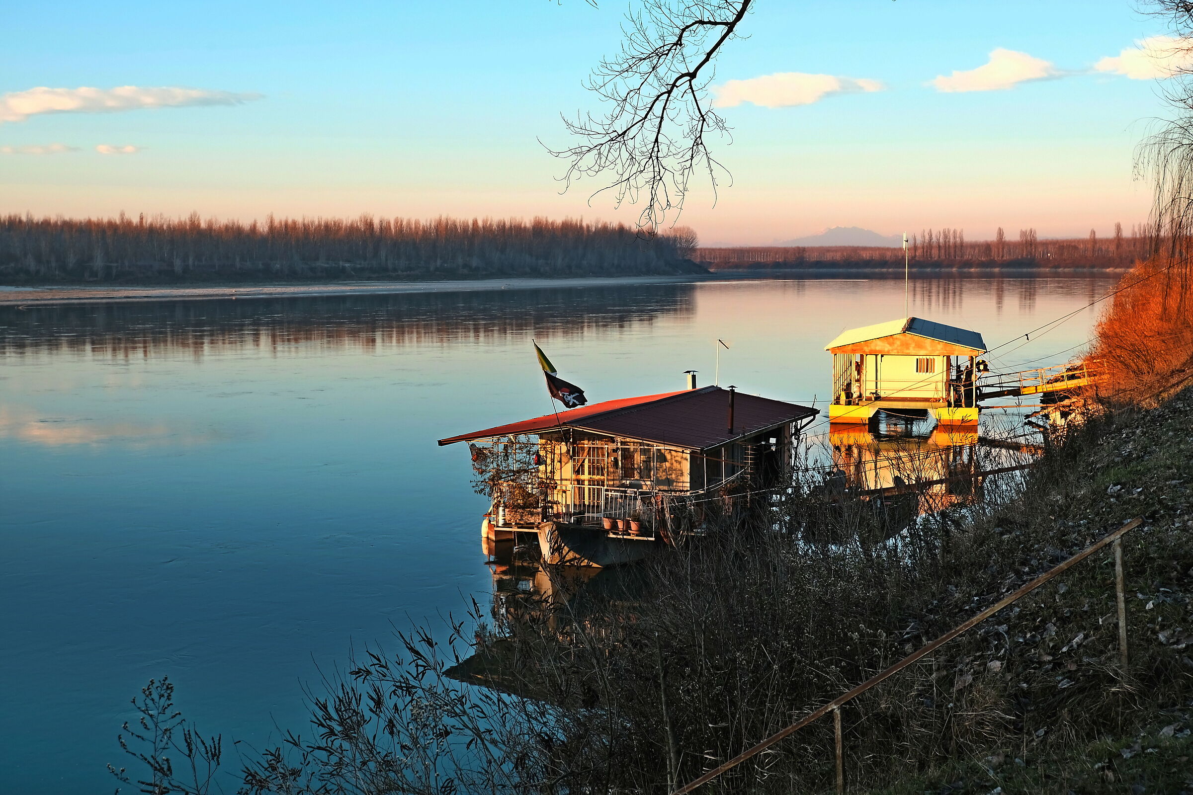 Untitled Photo