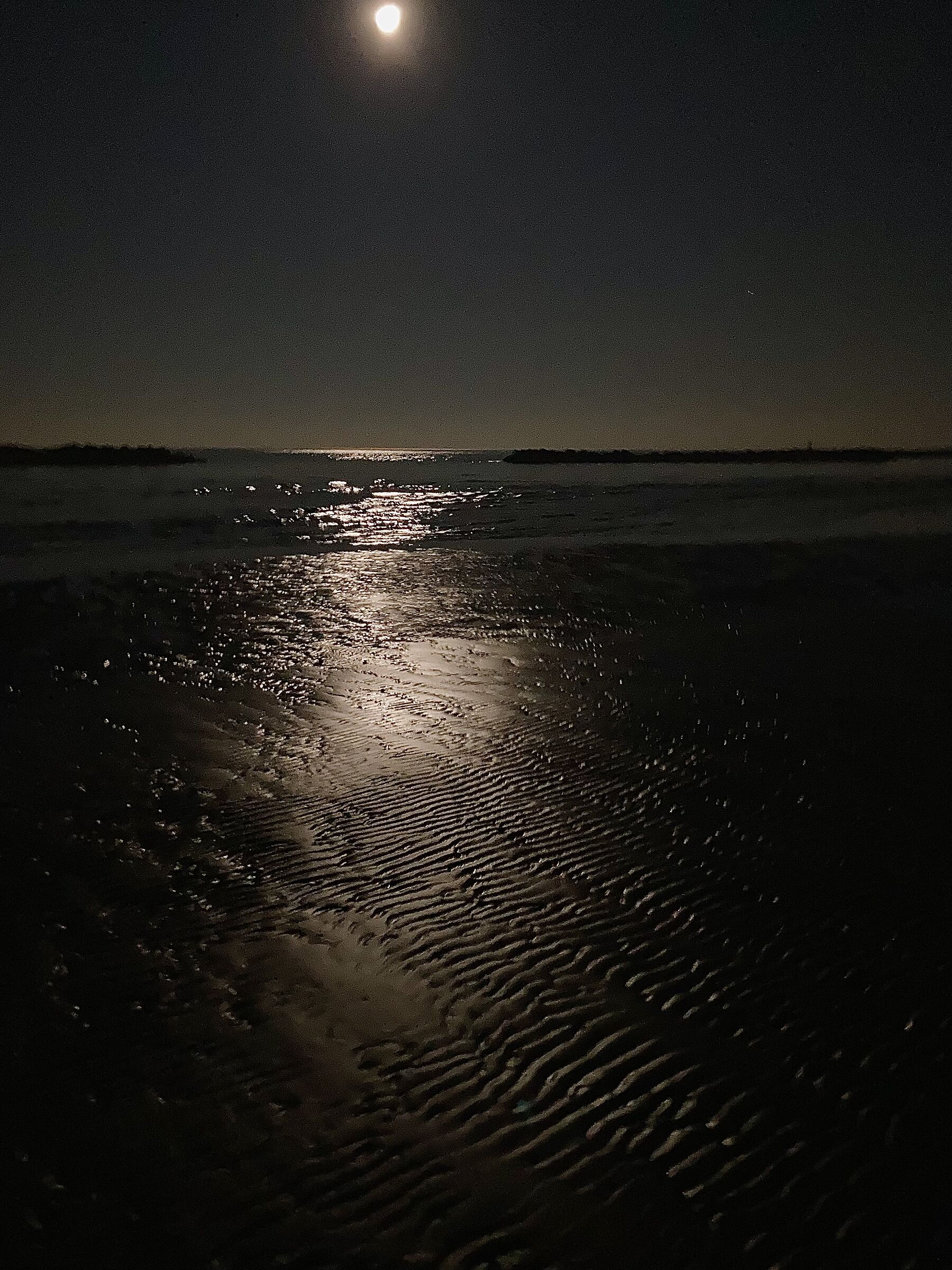 Riflessioni notturne