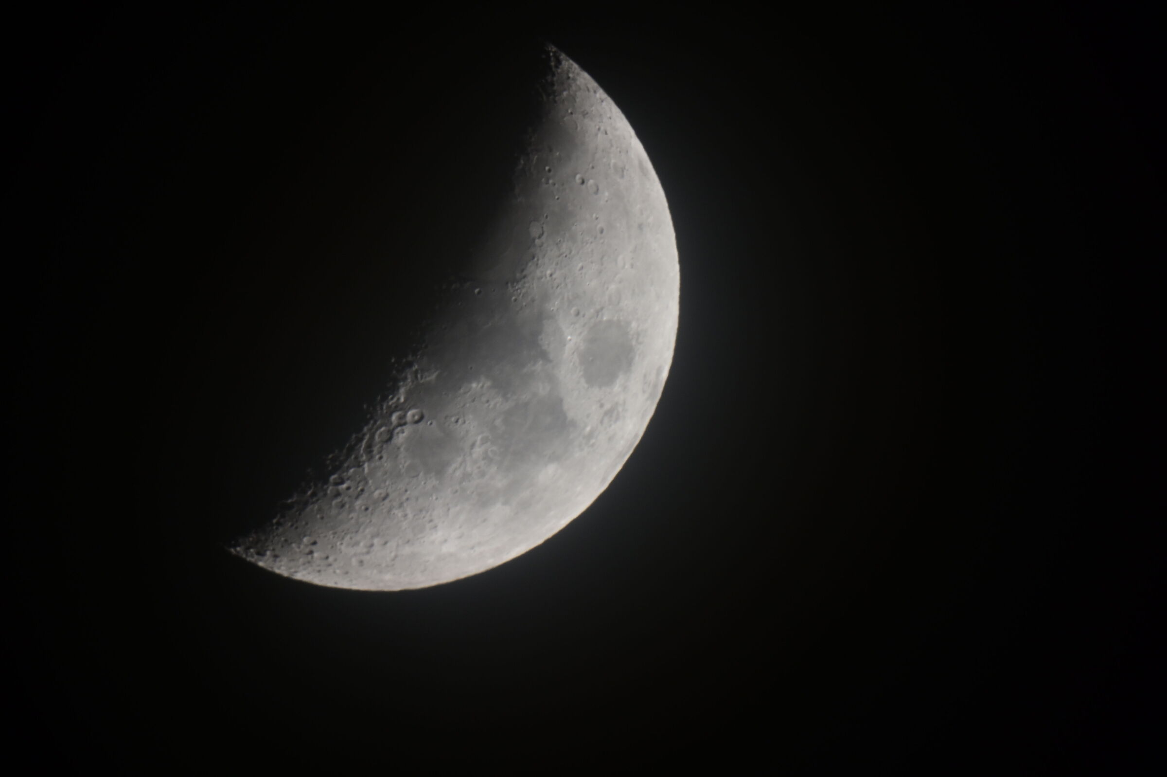 Luna da Meade 8"