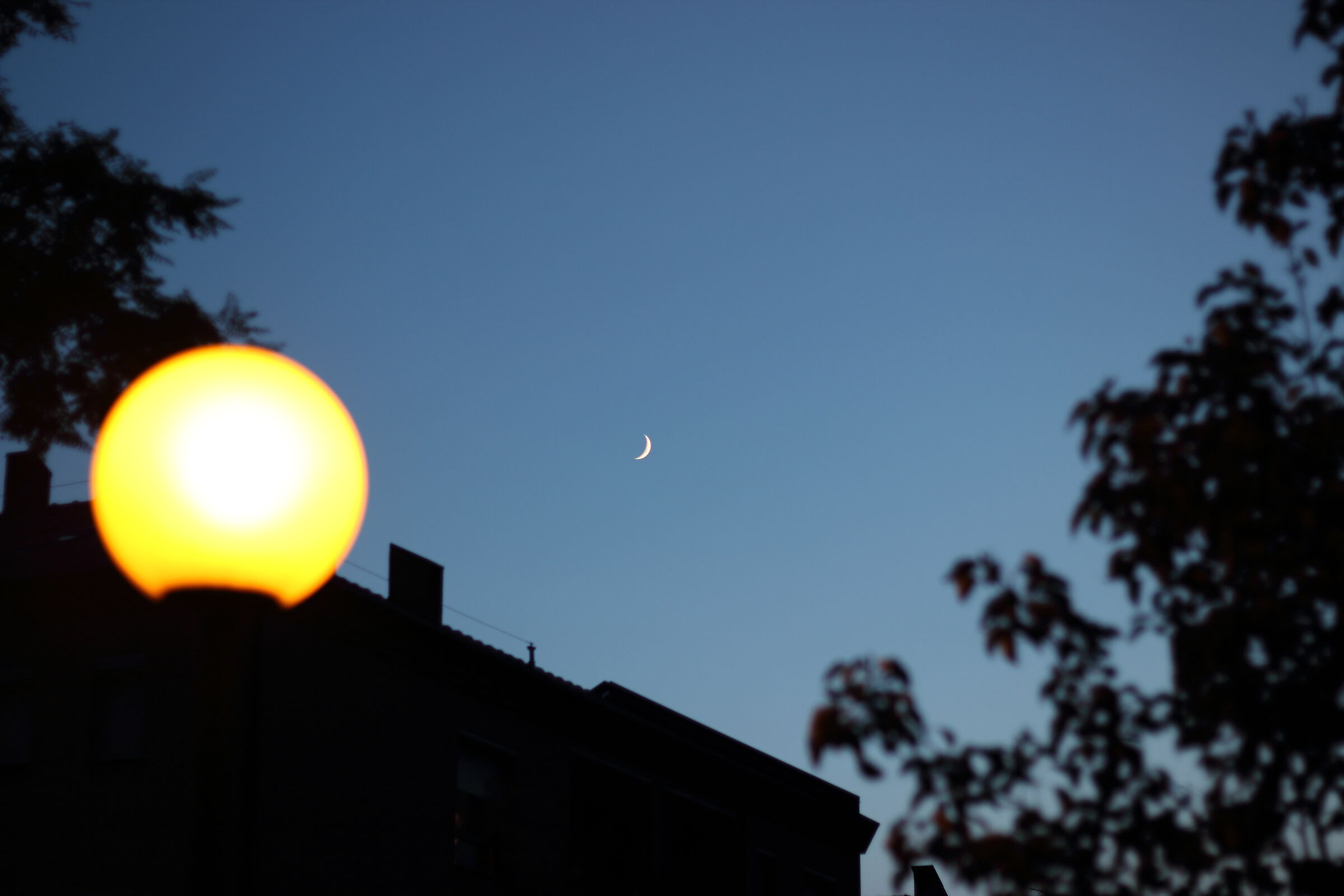 The Moon