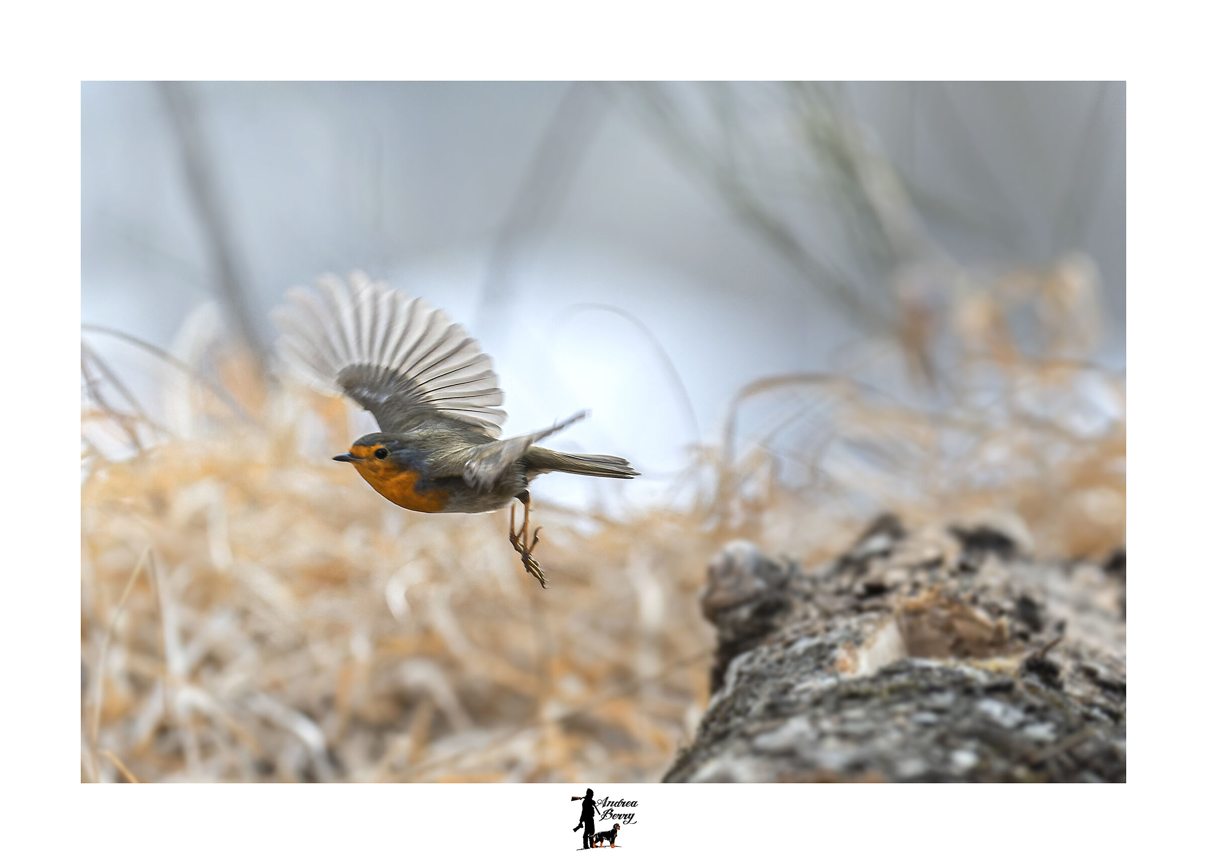 Red take-off