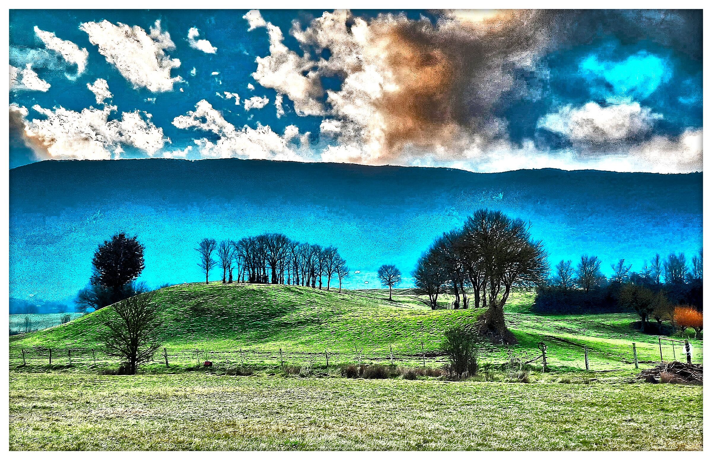Alba di caccia