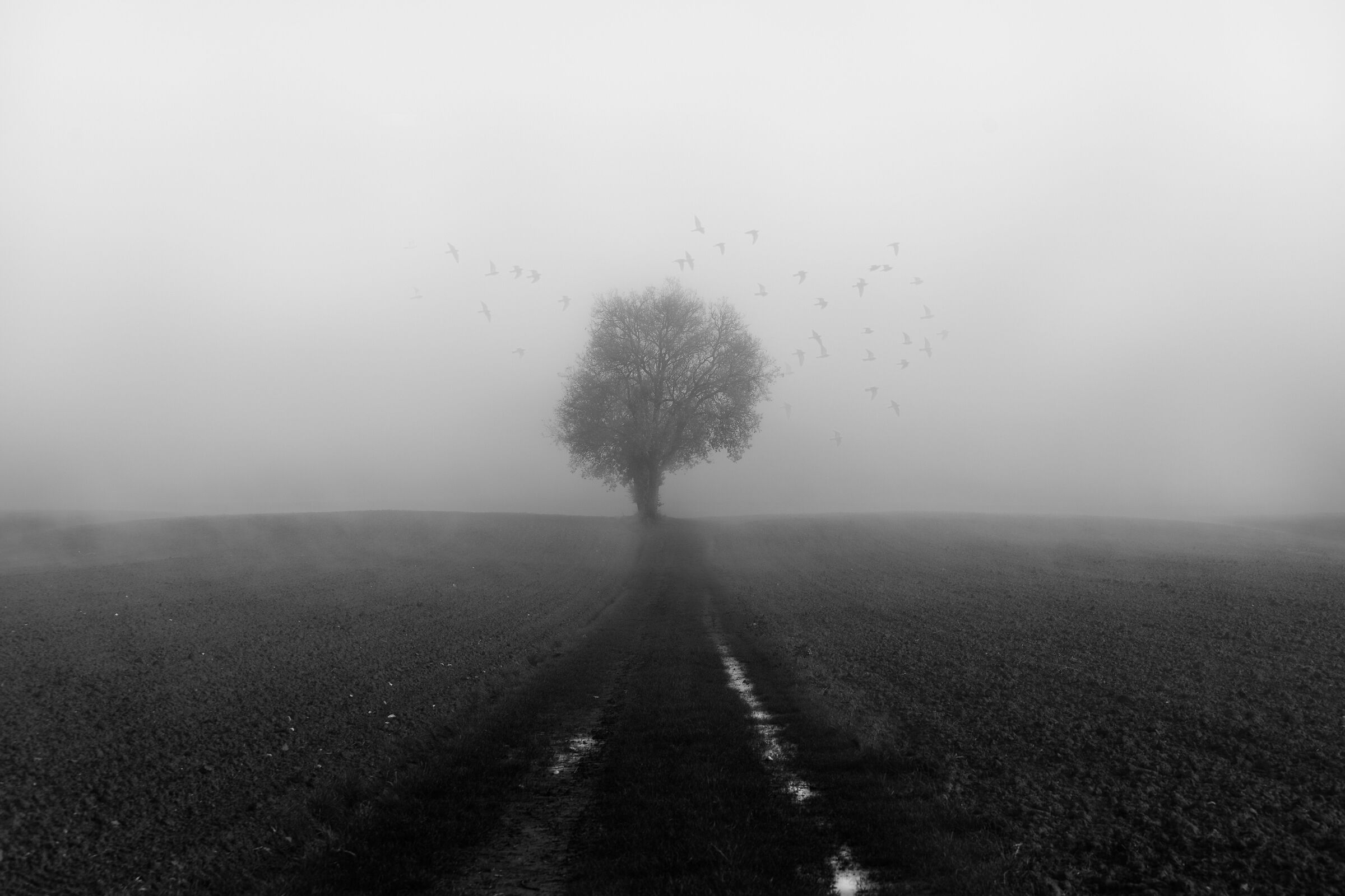 Nei pressi dell'Arbia