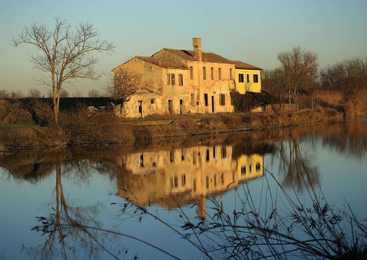 Cottage