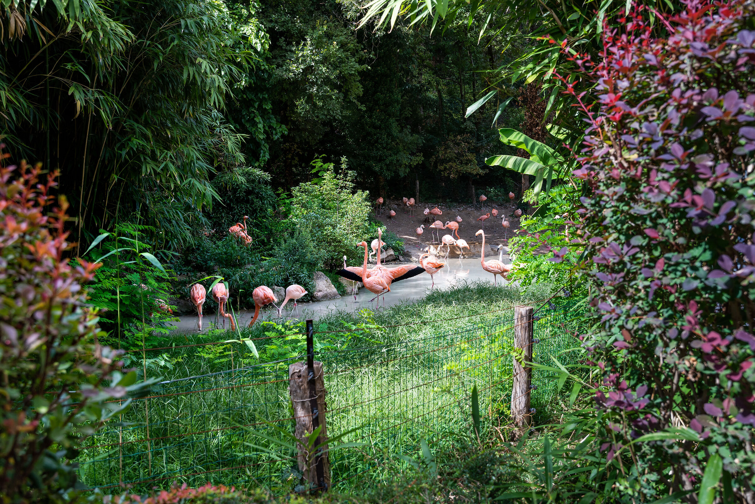 Parco Natura Viva - Bussolengo