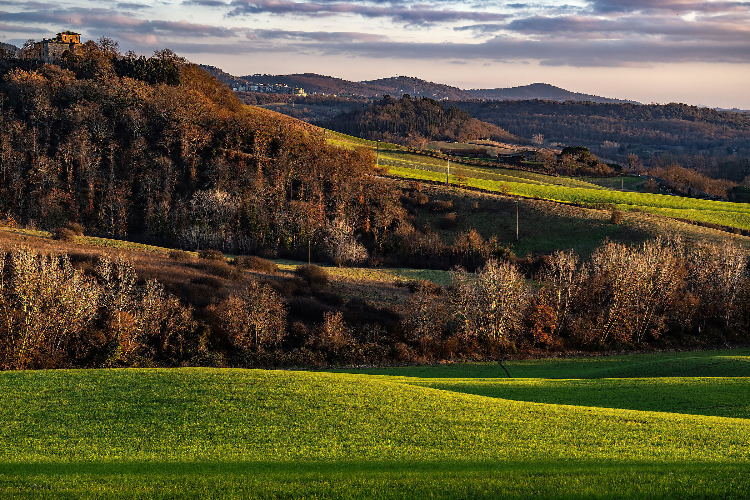 Terre di Siena at sunset