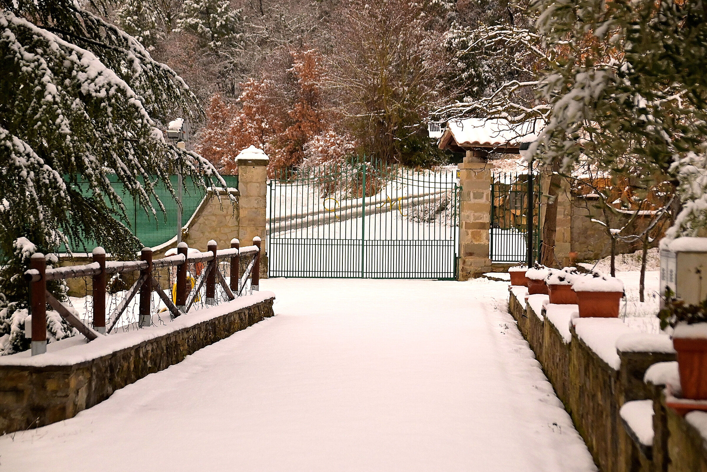 ... it was Winter