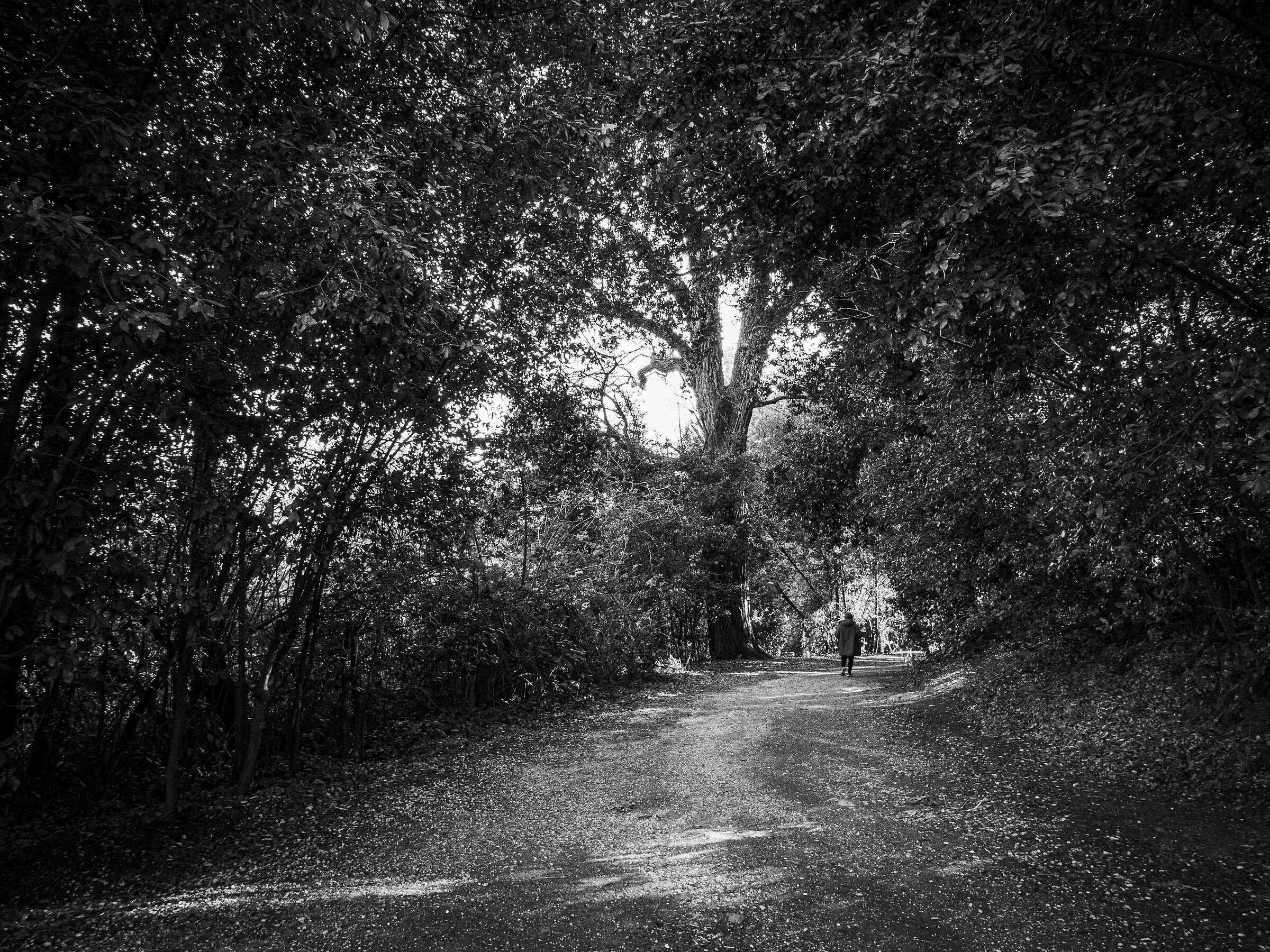 Surrounded by nature