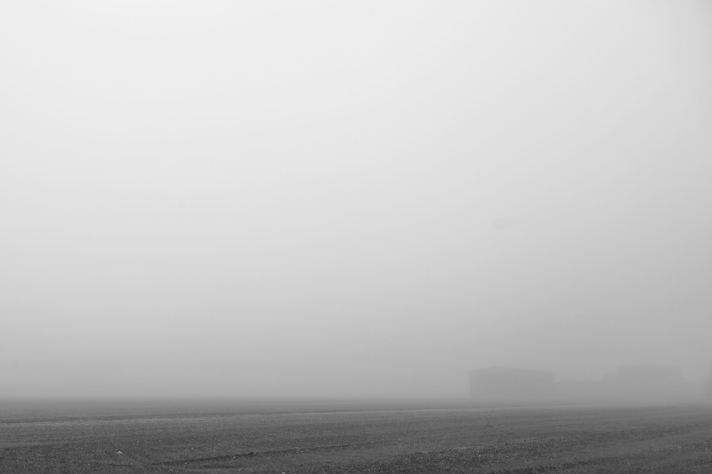 still fog...