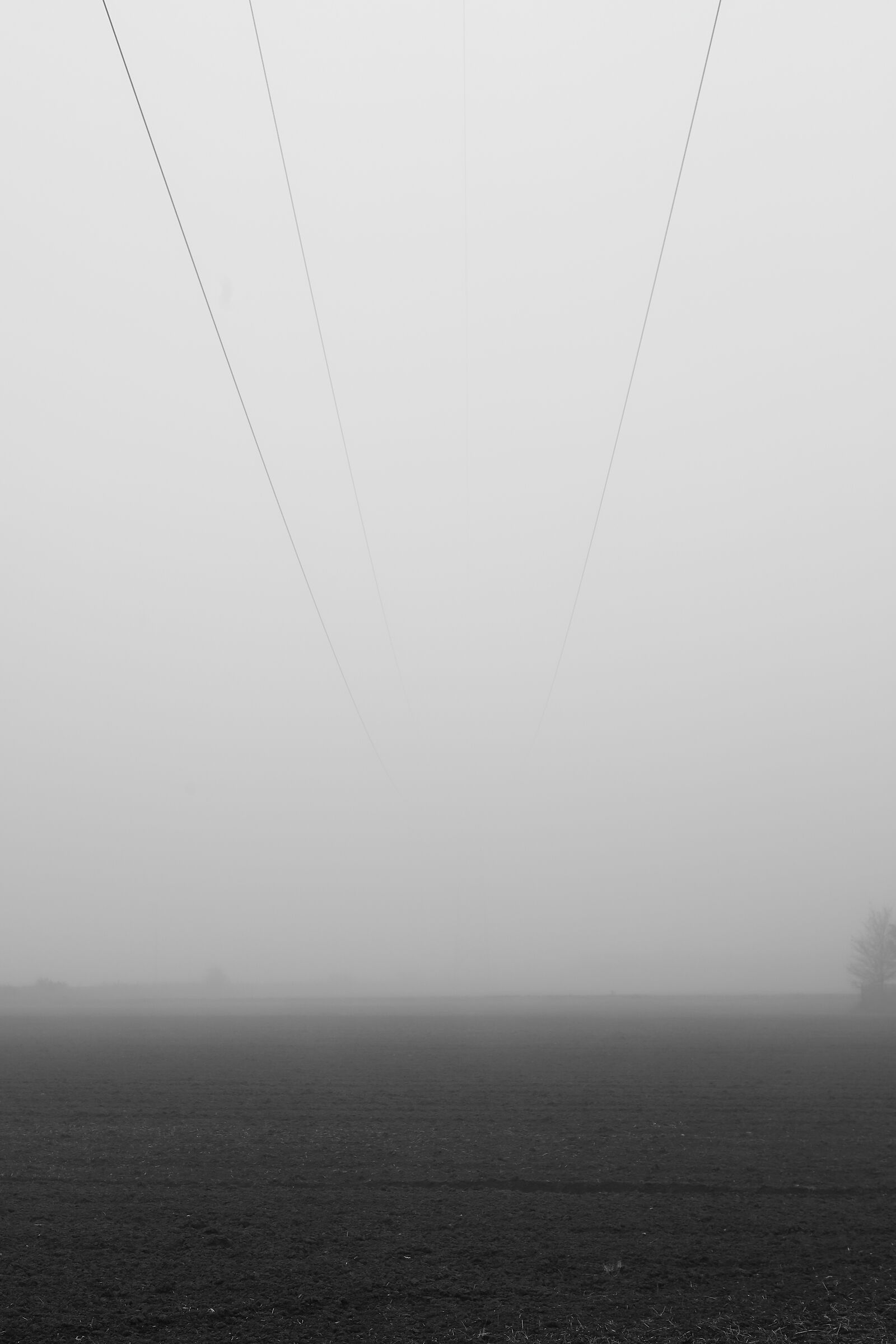 power line...