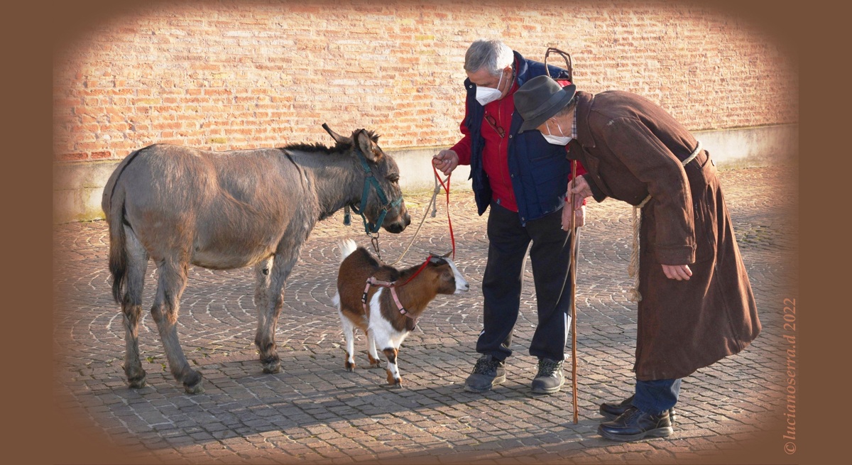 Festa di Sant'Antonio Abate 2022