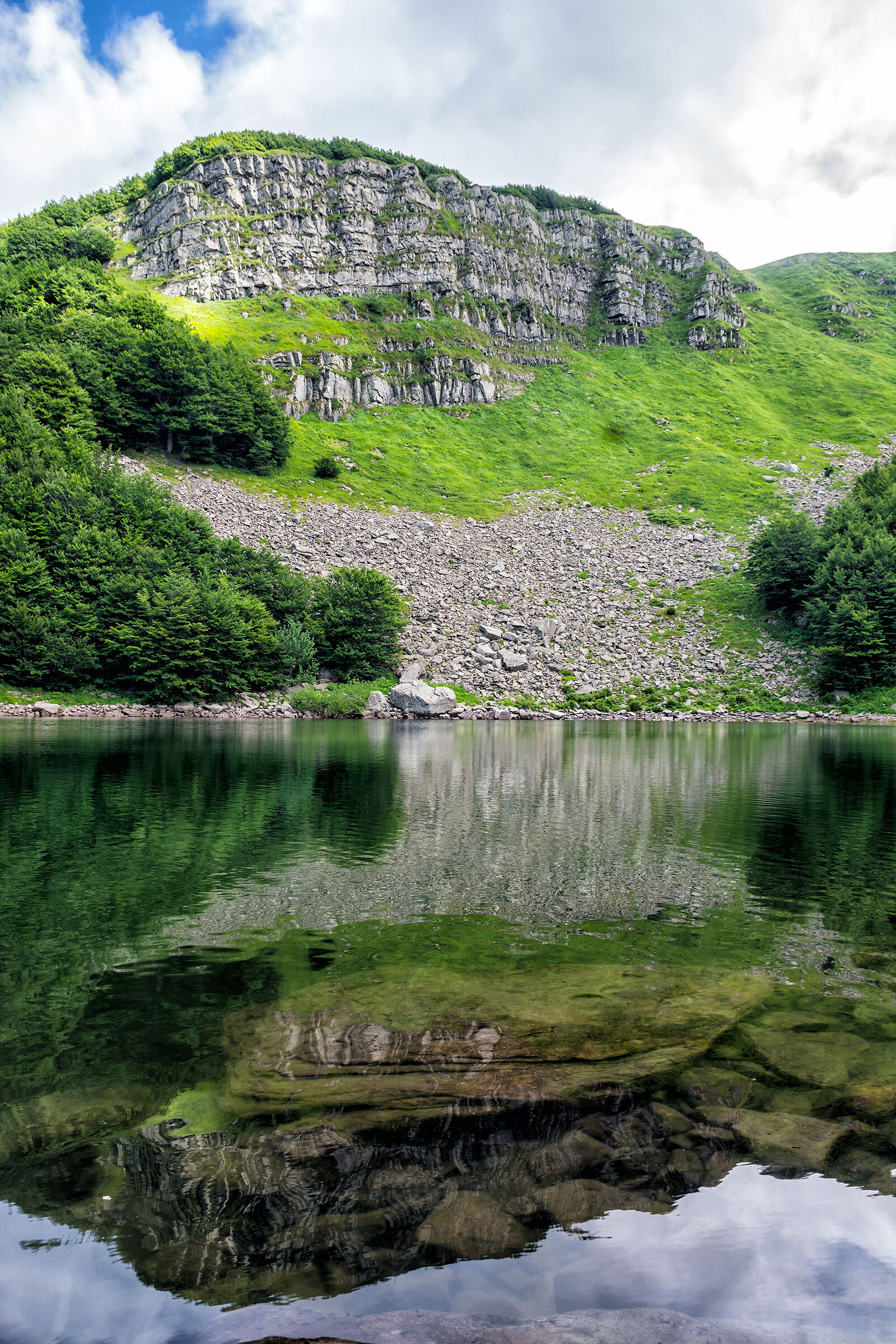 Reflections of Lake Palo