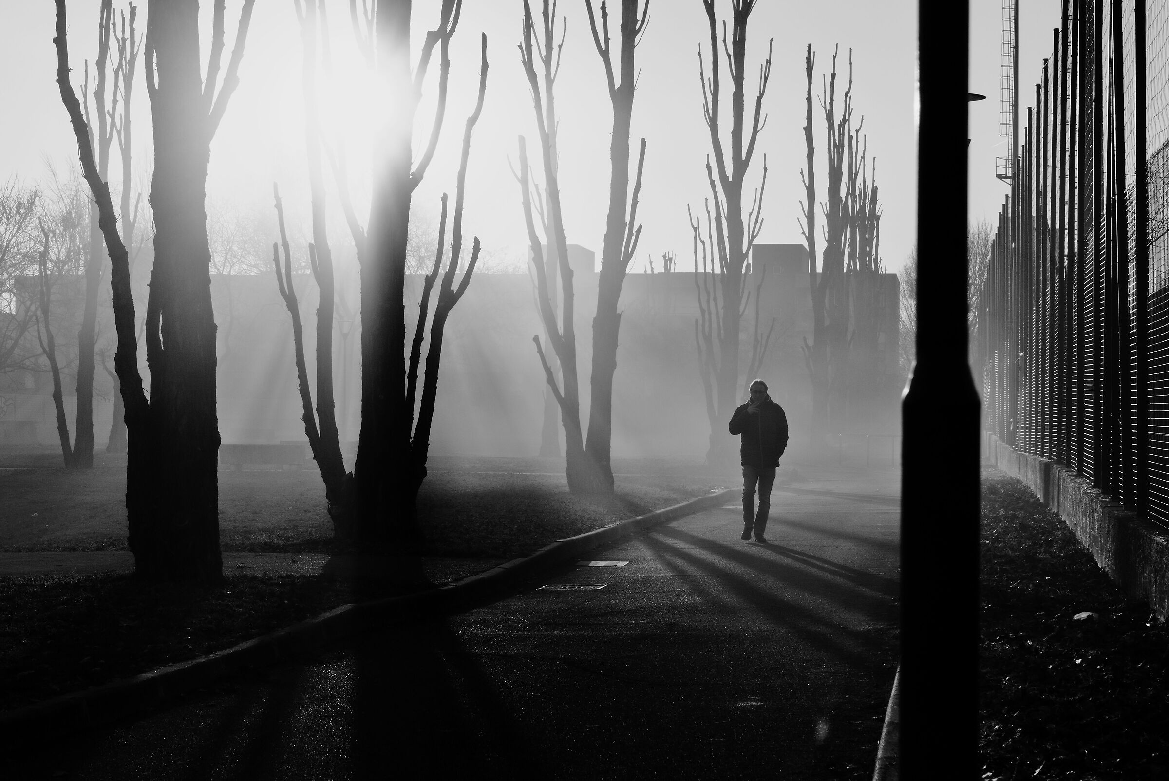 Camminata solitaria...