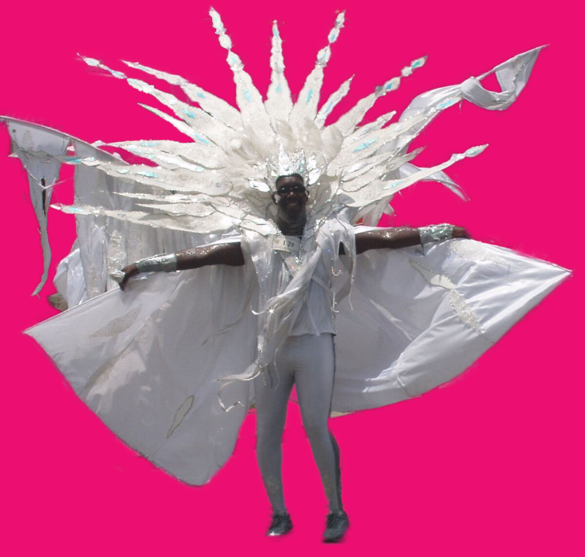 carnival in the Caribbean 1