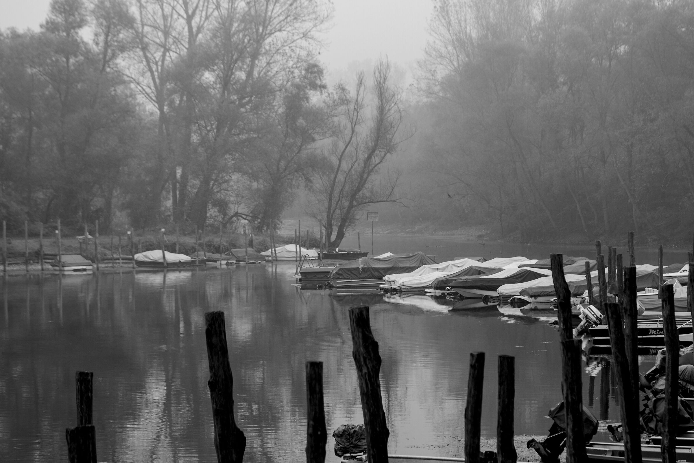 lanca Ayala on the Ticino river