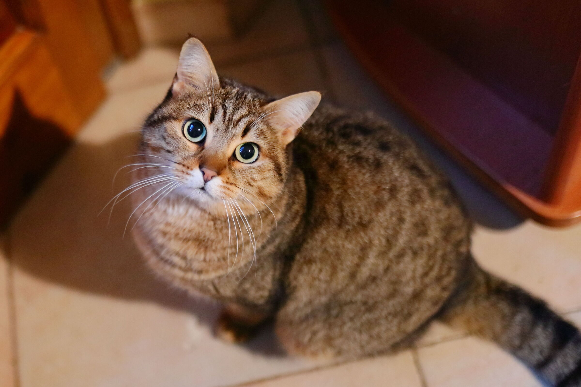 She wins for exhaustion