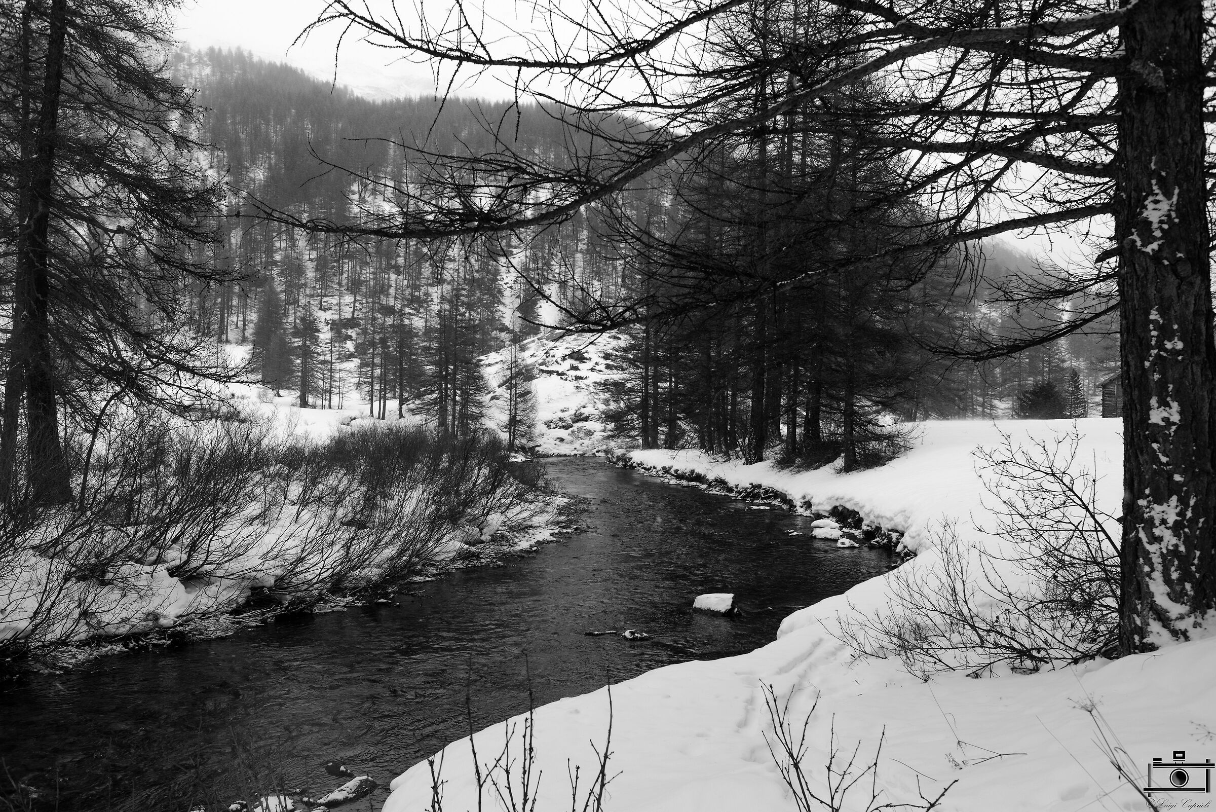 The Clarée
