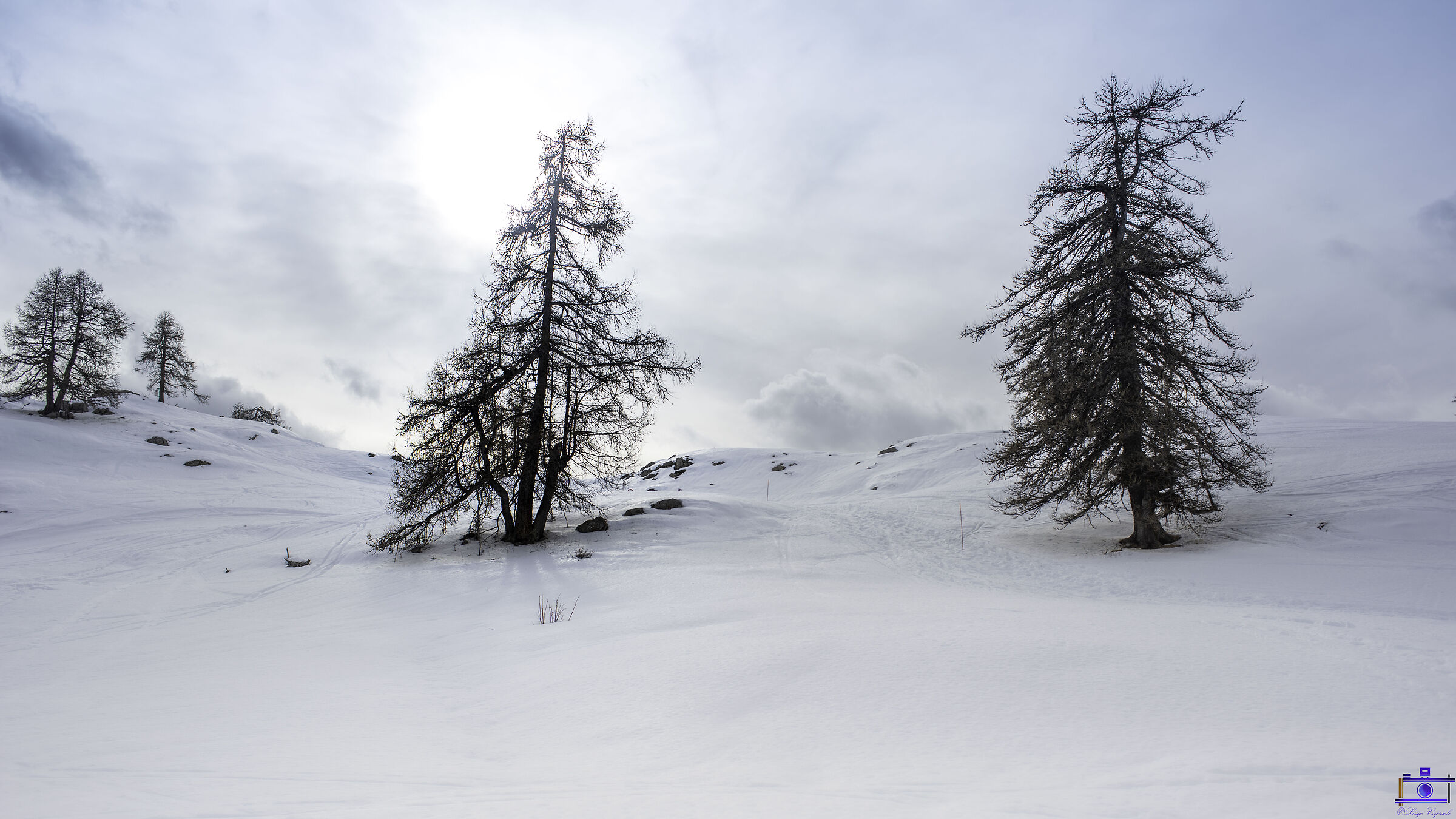 Parc des Ecrins