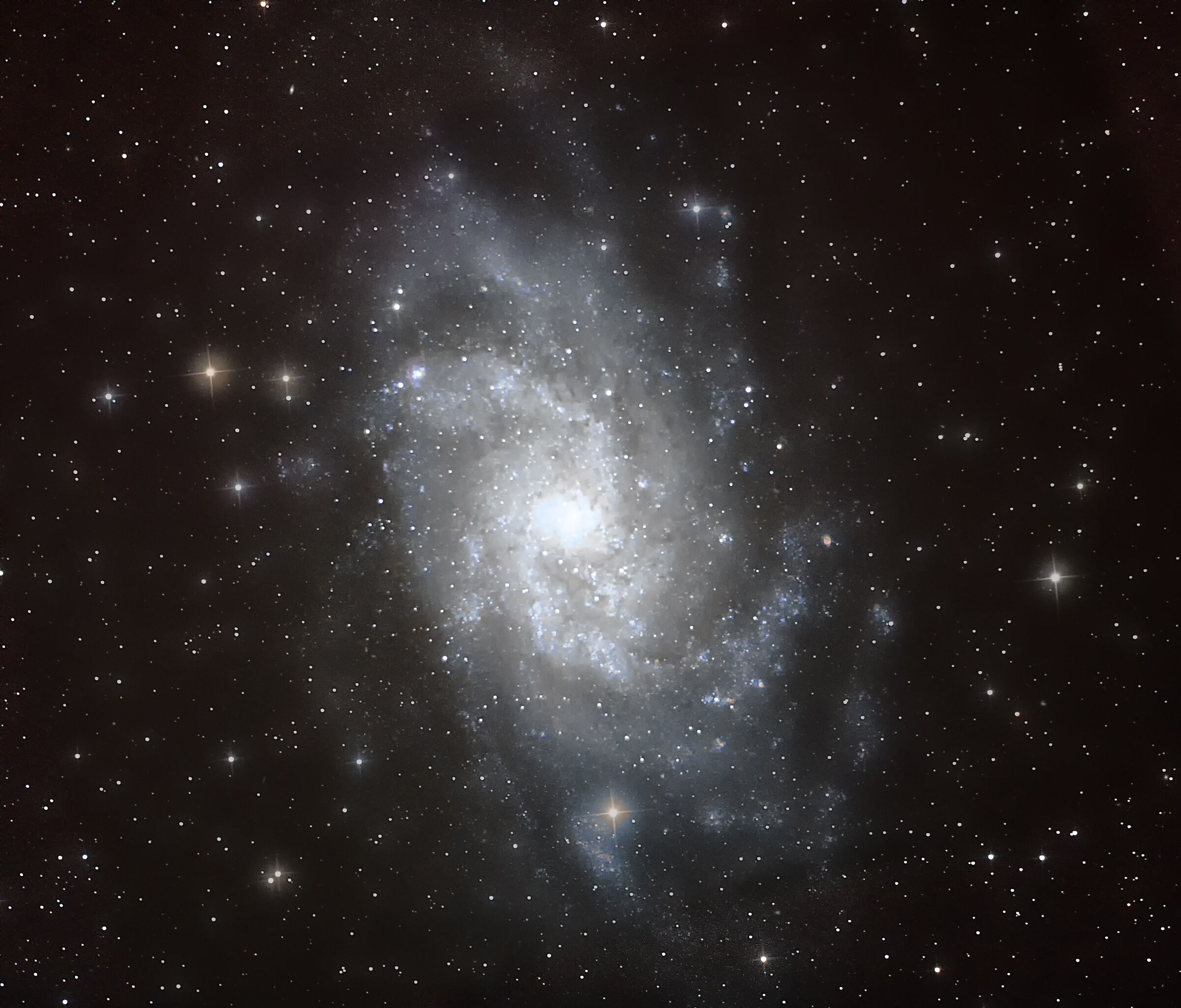 M33