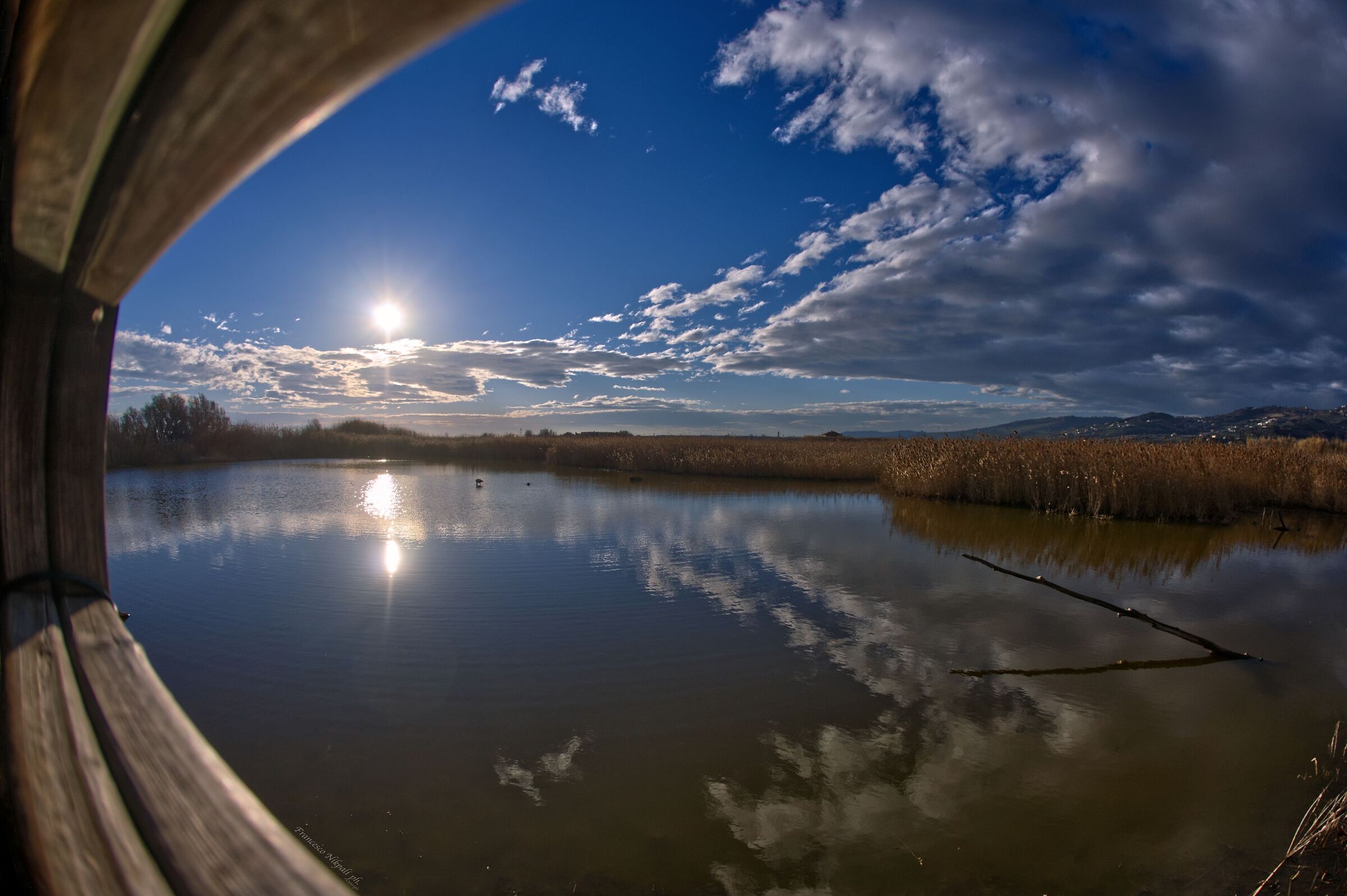 Riserva naturale Sentina