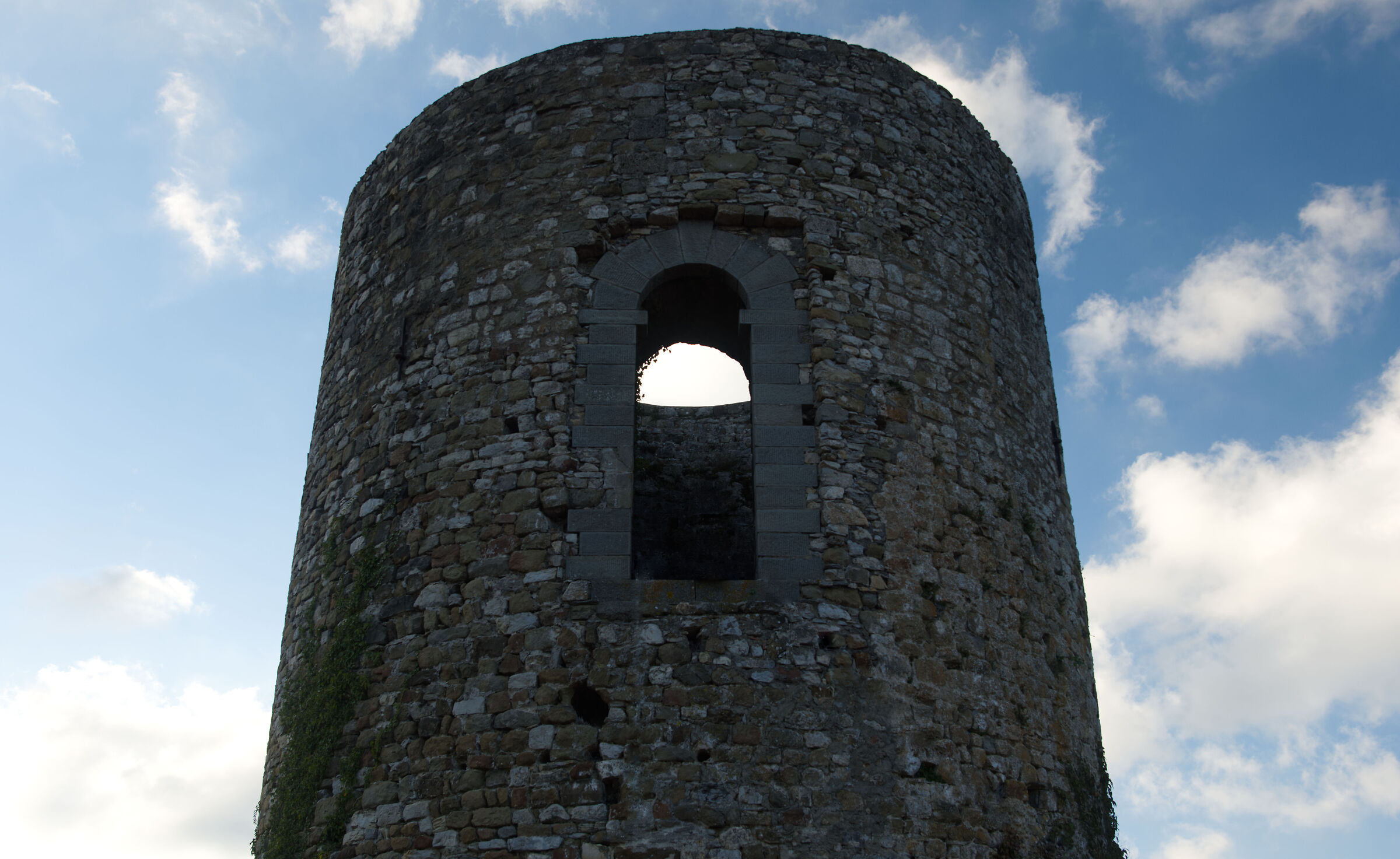 Untitled Photo