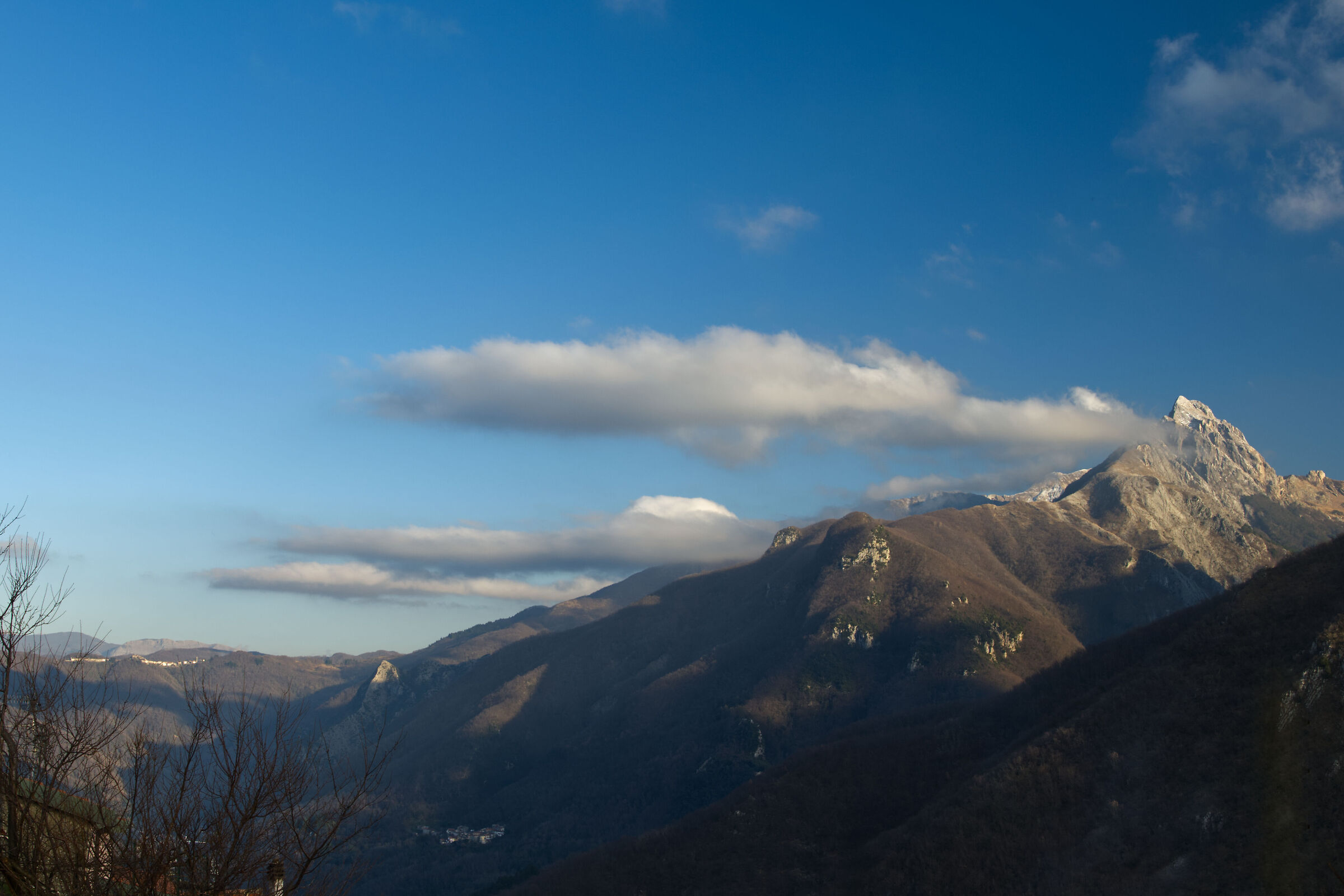 Untitled Photo