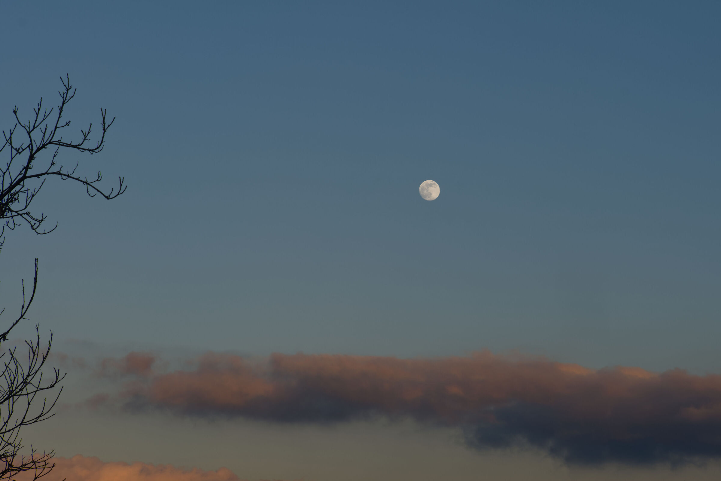 Untitled Photo