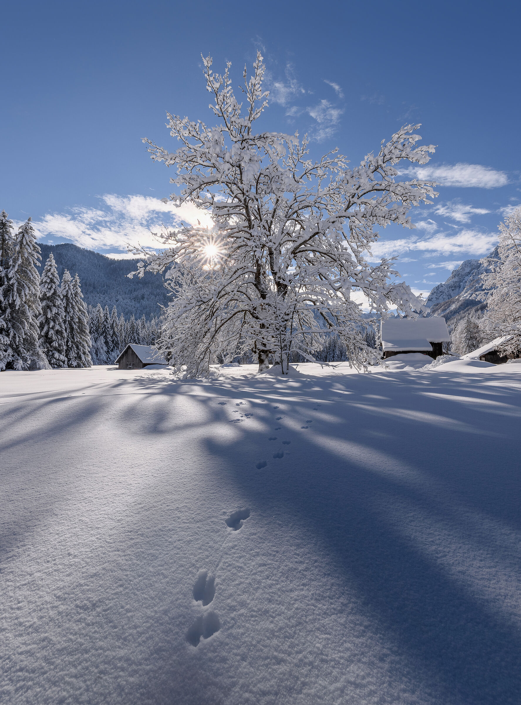 Paradiso invernale