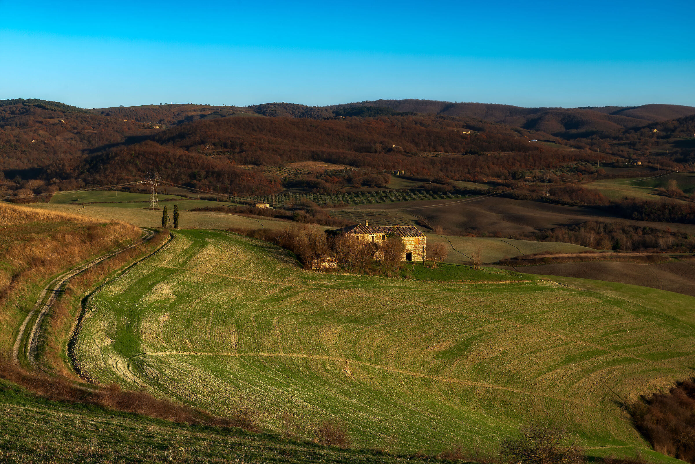 colline nei pressi di san casciano(si)