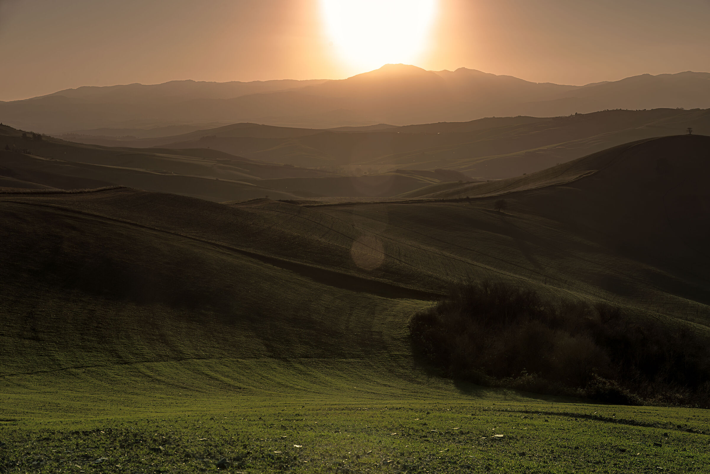 colline nei pressi di san casciano(si)