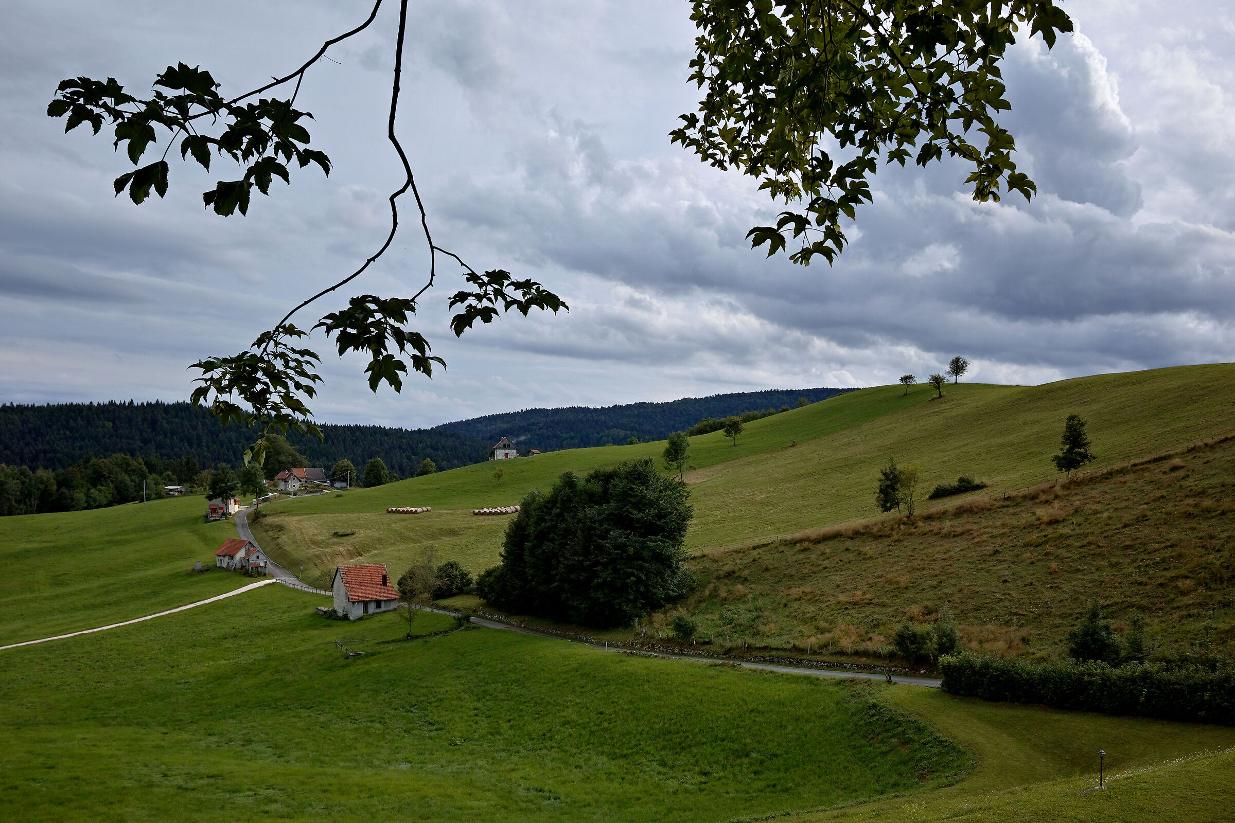 Houses and clouds