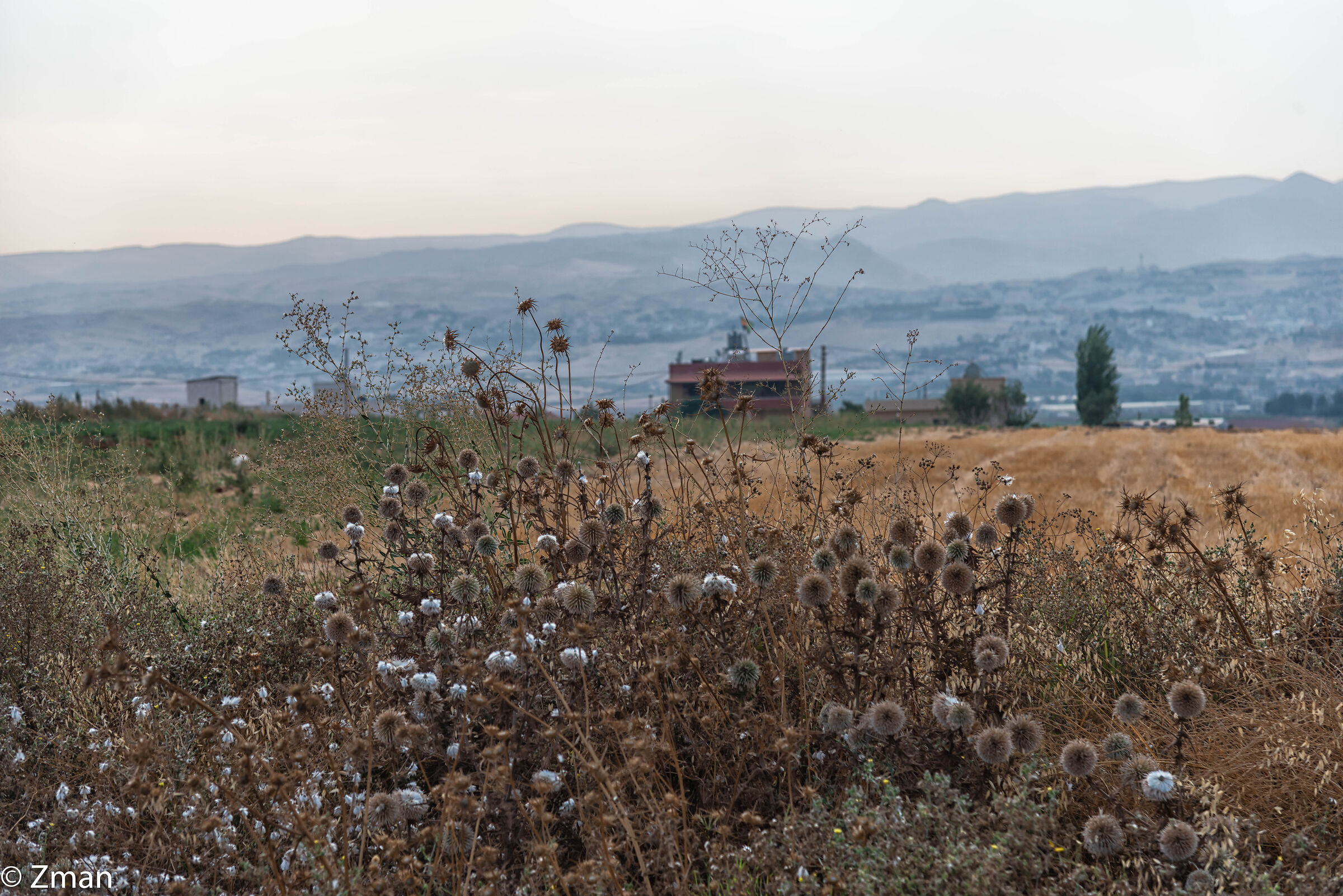 Catena montuosa orientale