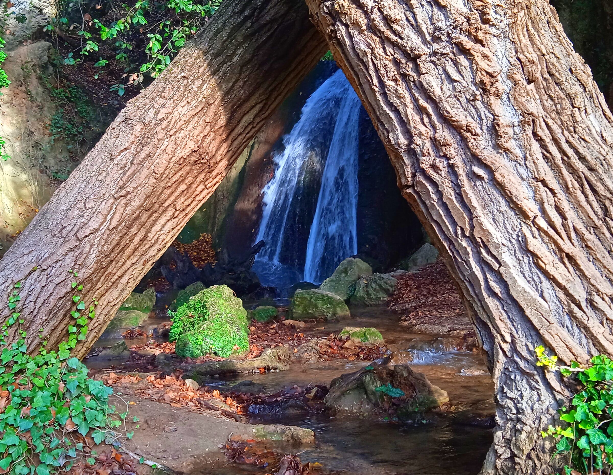 cascata della sposa pale