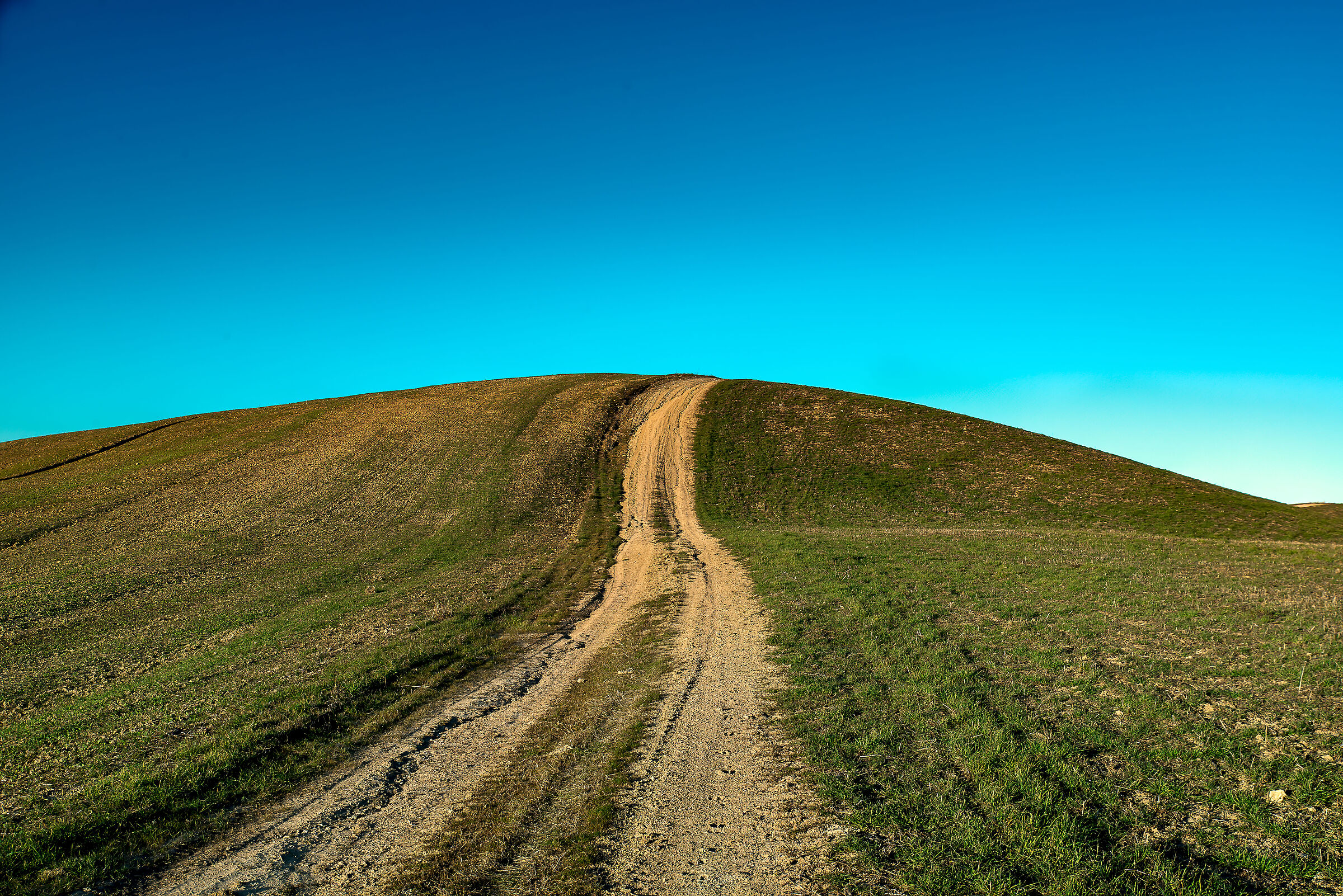 colline nei pressi di san casciano(si)4