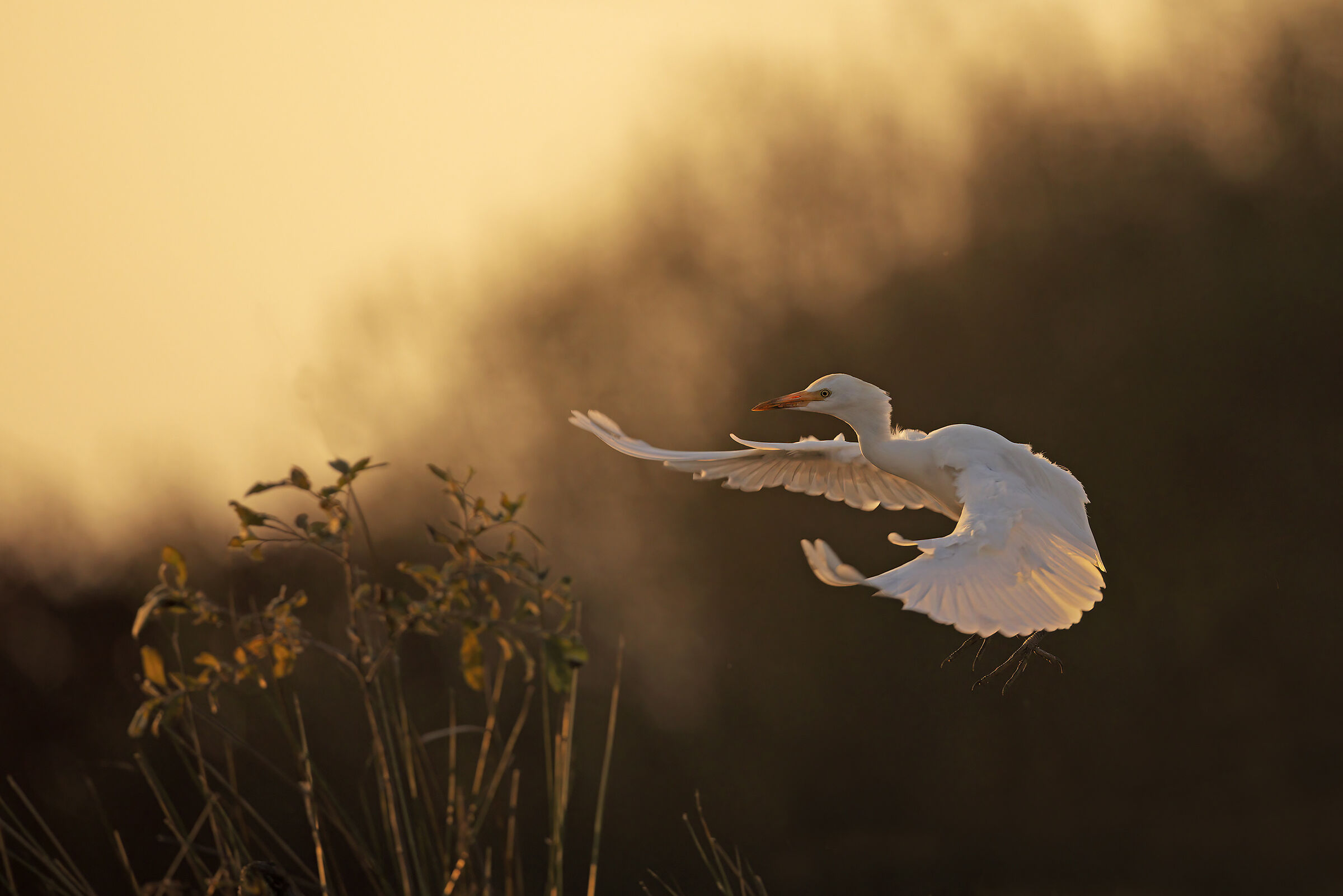 Arrivo con un filo di luce