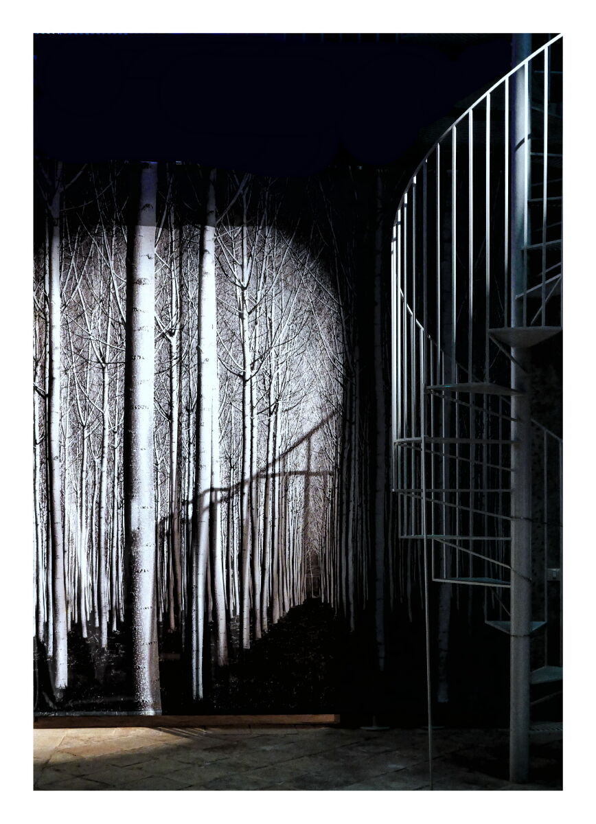 Tribute to Michael KENNA_3's exhibition