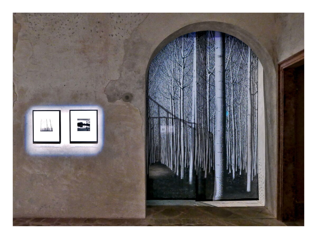 Tribute to Michael KENNA_2's exhibition