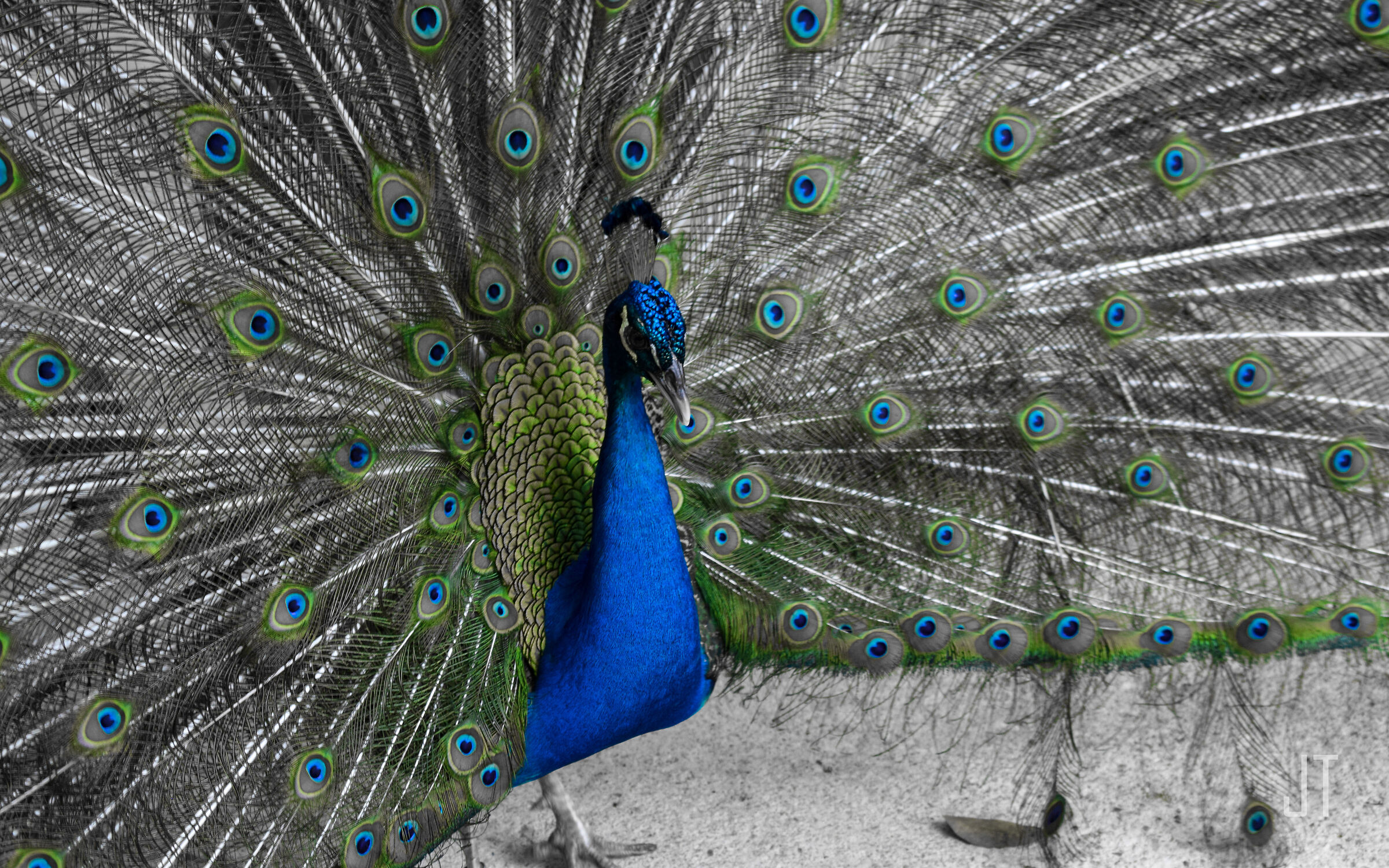 The magic of cold colors