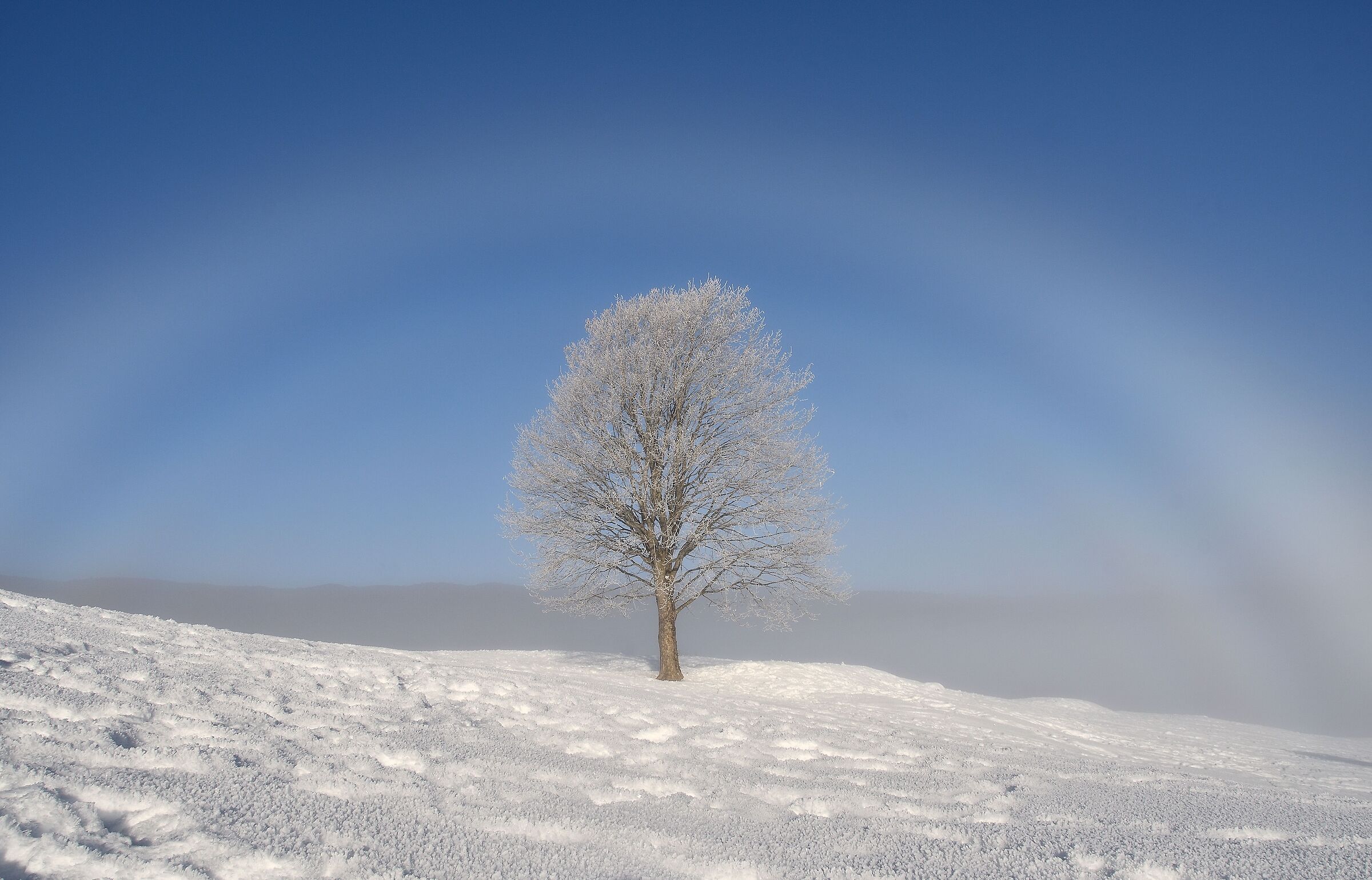 Arcobaleno bianco