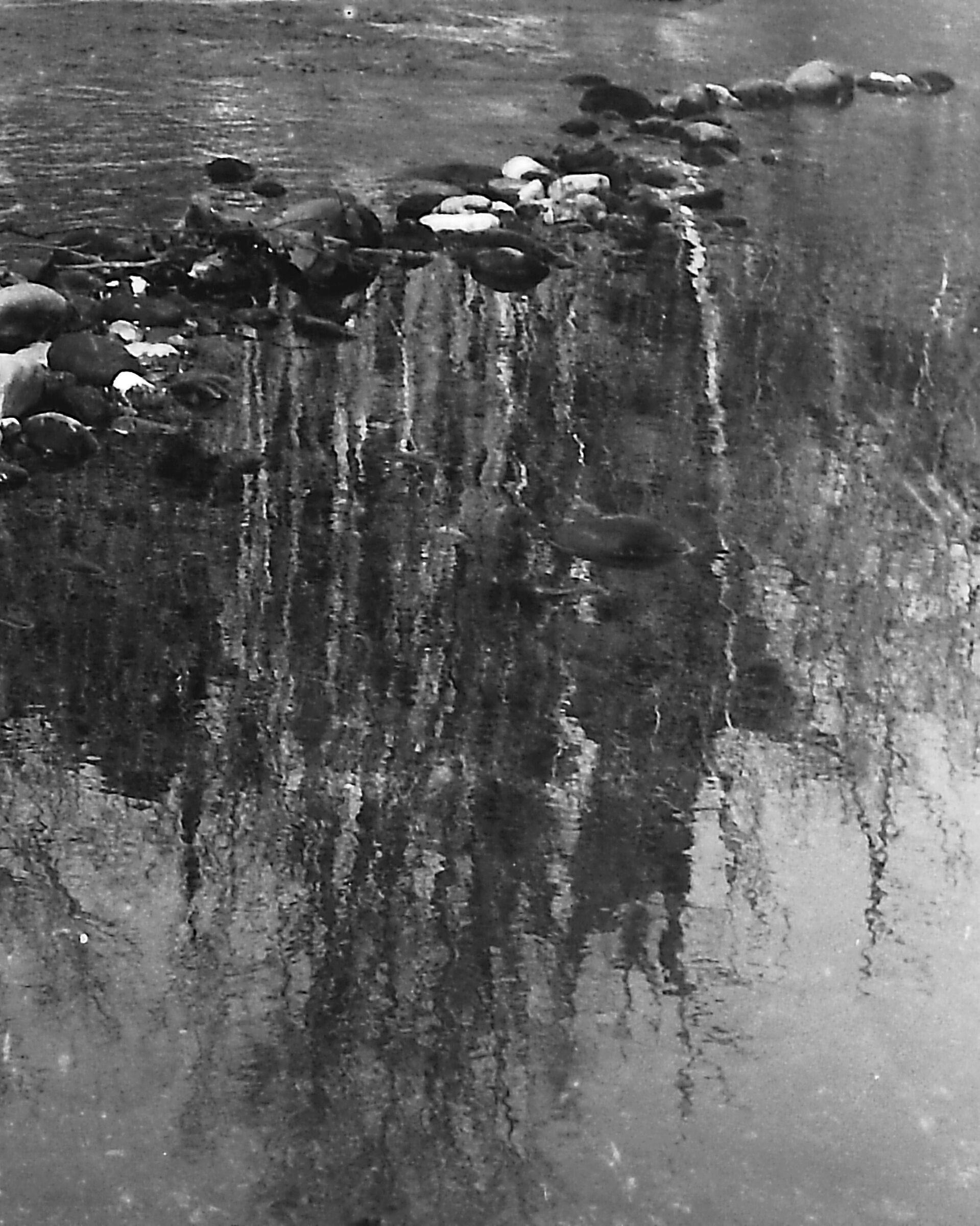 Passeggio sul fiume con una Nikon F3